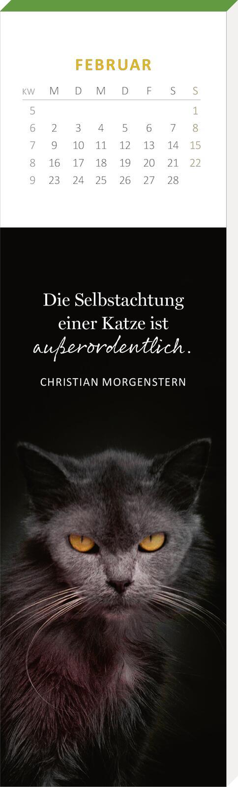 Beispielinhalt (Bild) Lesezeichenkalender Katzenglück 2026