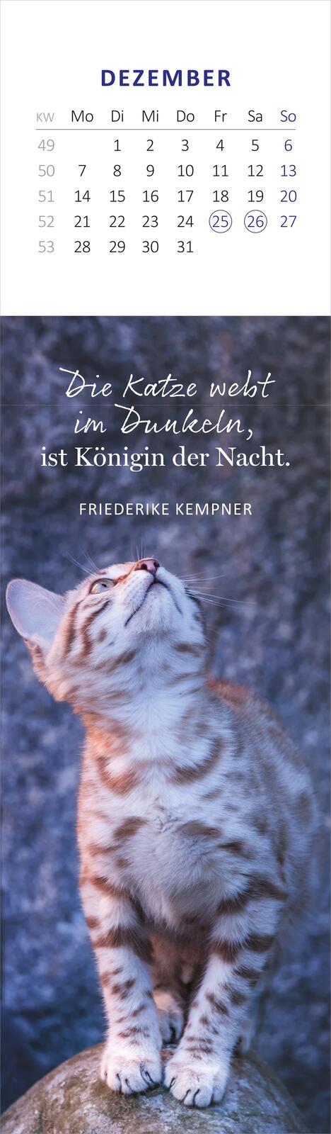 Beispielinhalt (Bild) Lesezeichenkalender Katzenglück 2026