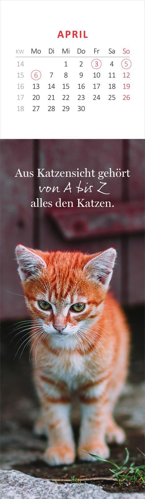 Beispielinhalt (Bild) Lesezeichenkalender Katzenglück 2026
