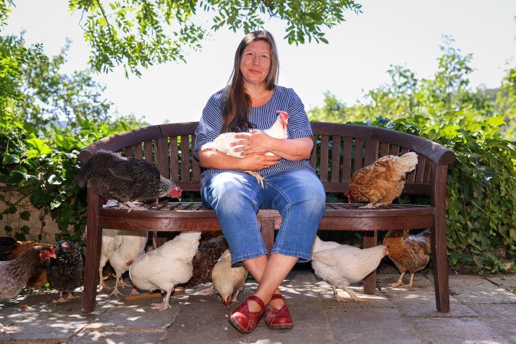 Autorenbild Es war einmal das Huhn