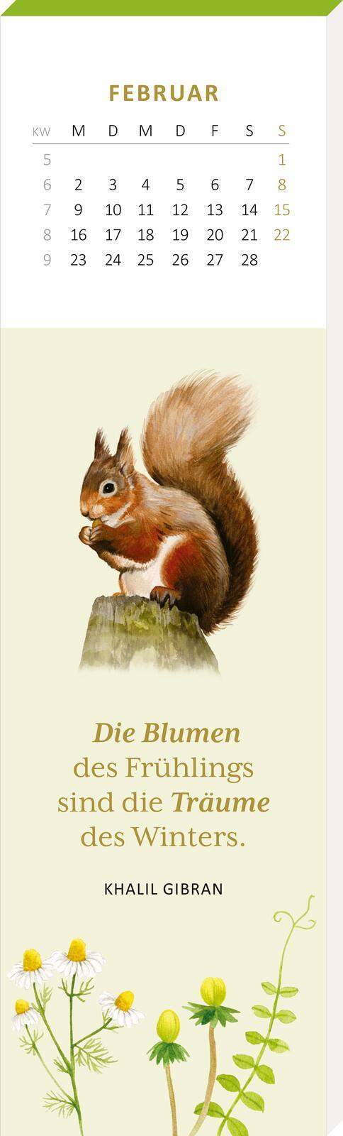 Beispielinhalt (Bild) Lesezeichenkalender Naturschätze 2026