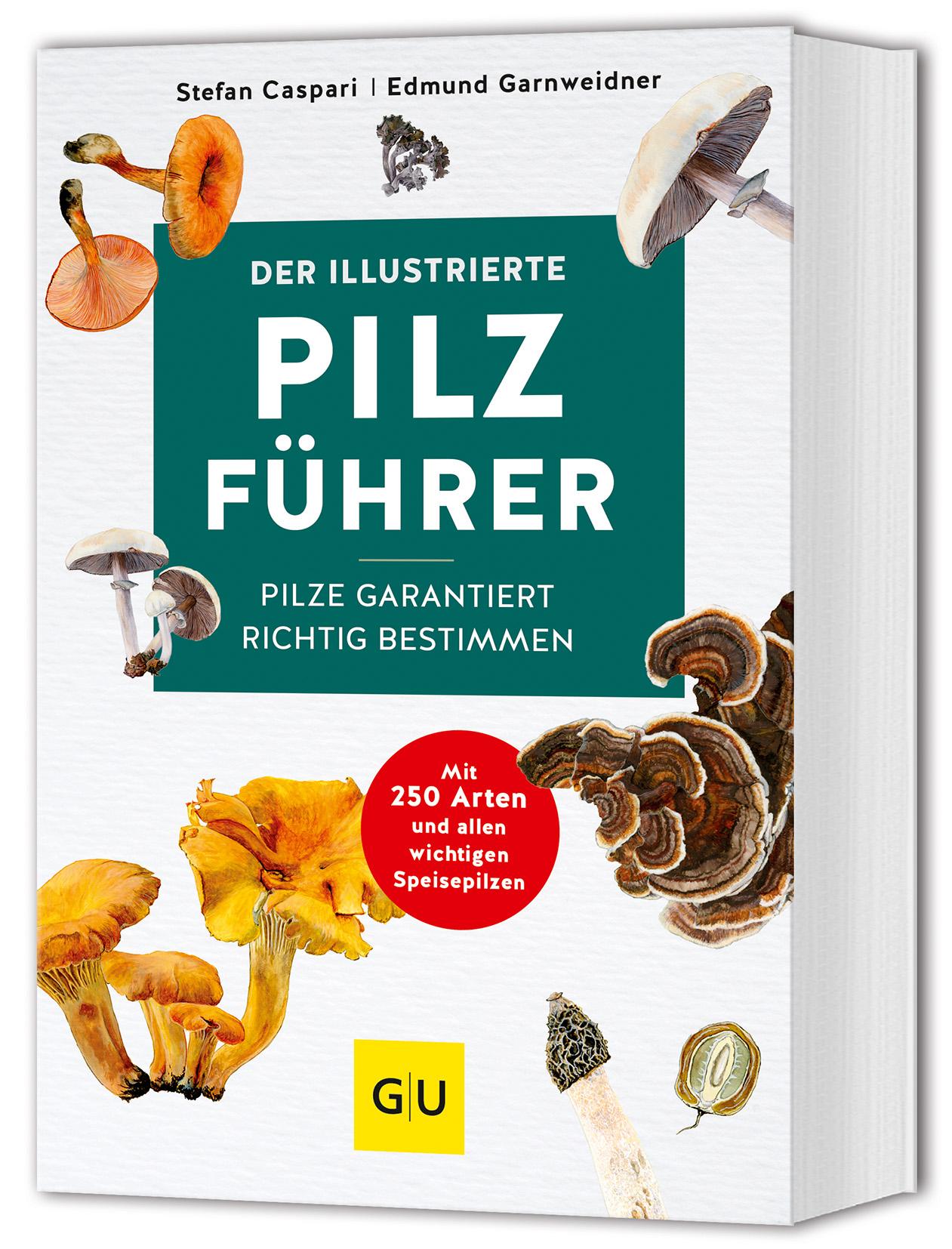 Vorderes Coverbild Der illustrierte Pilzführer