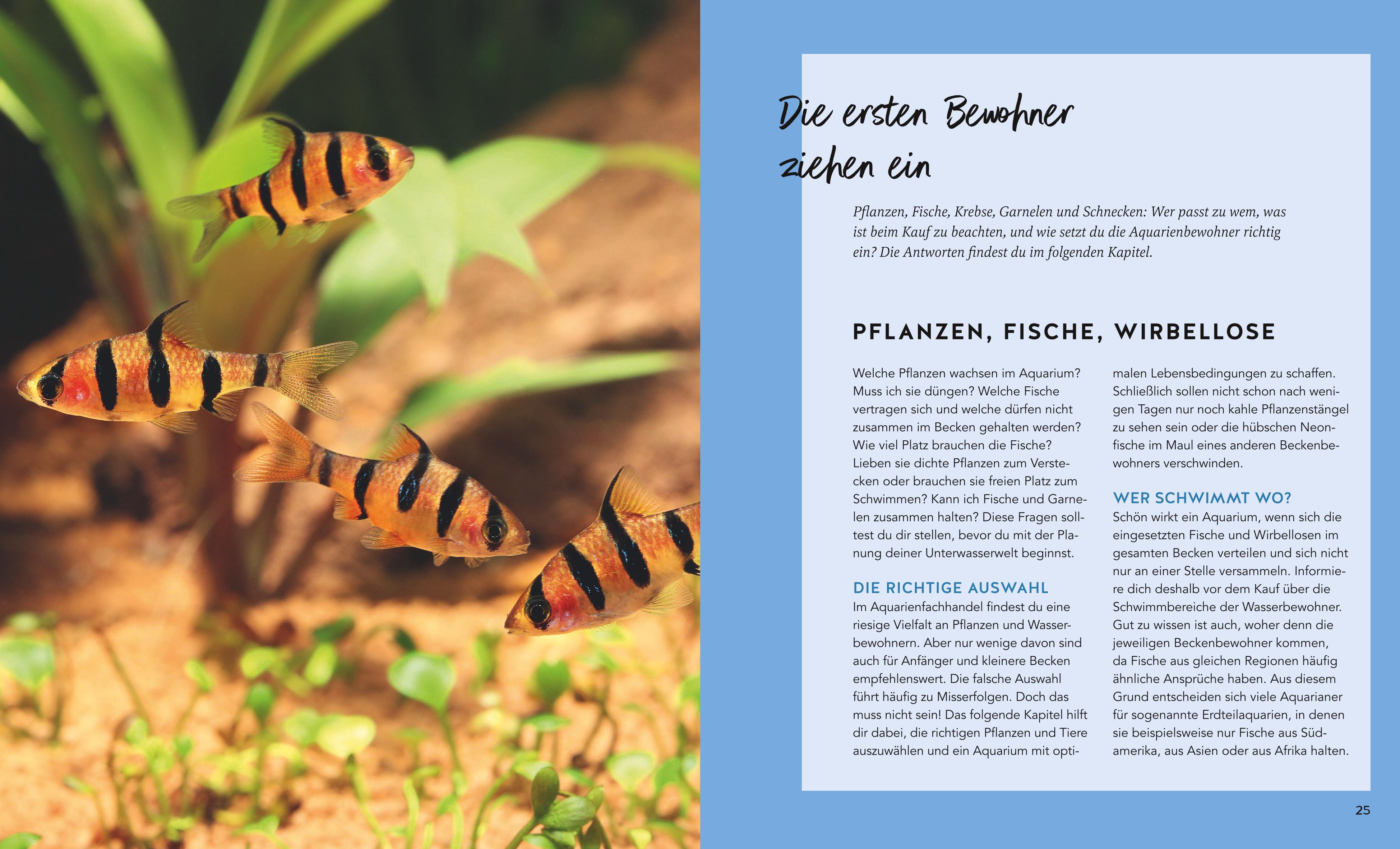 Beispielinhalt (Bild) Aquarien - Spaß für Kinder