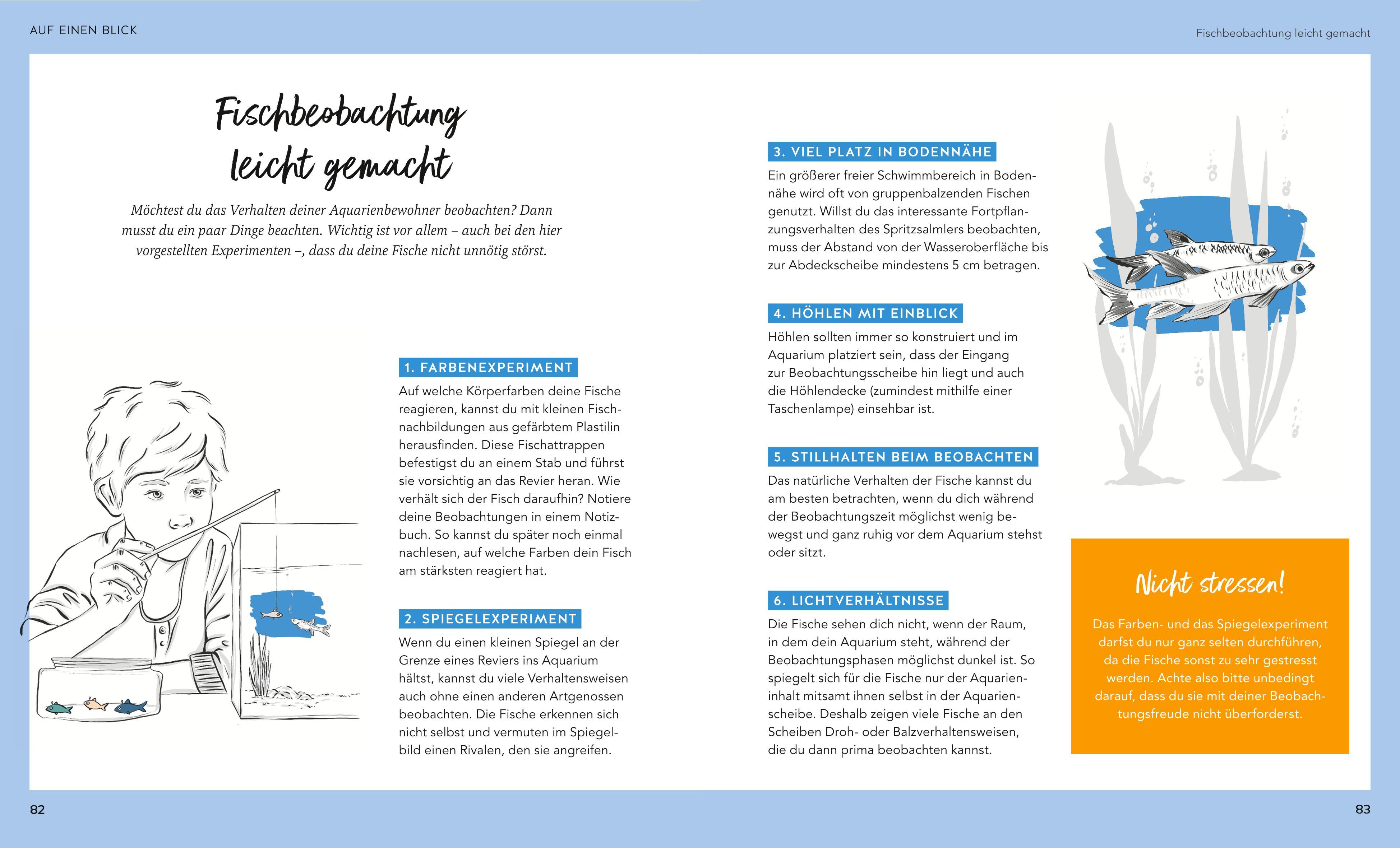 Beispielinhalt (Bild) Aquarien - Spaß für Kinder