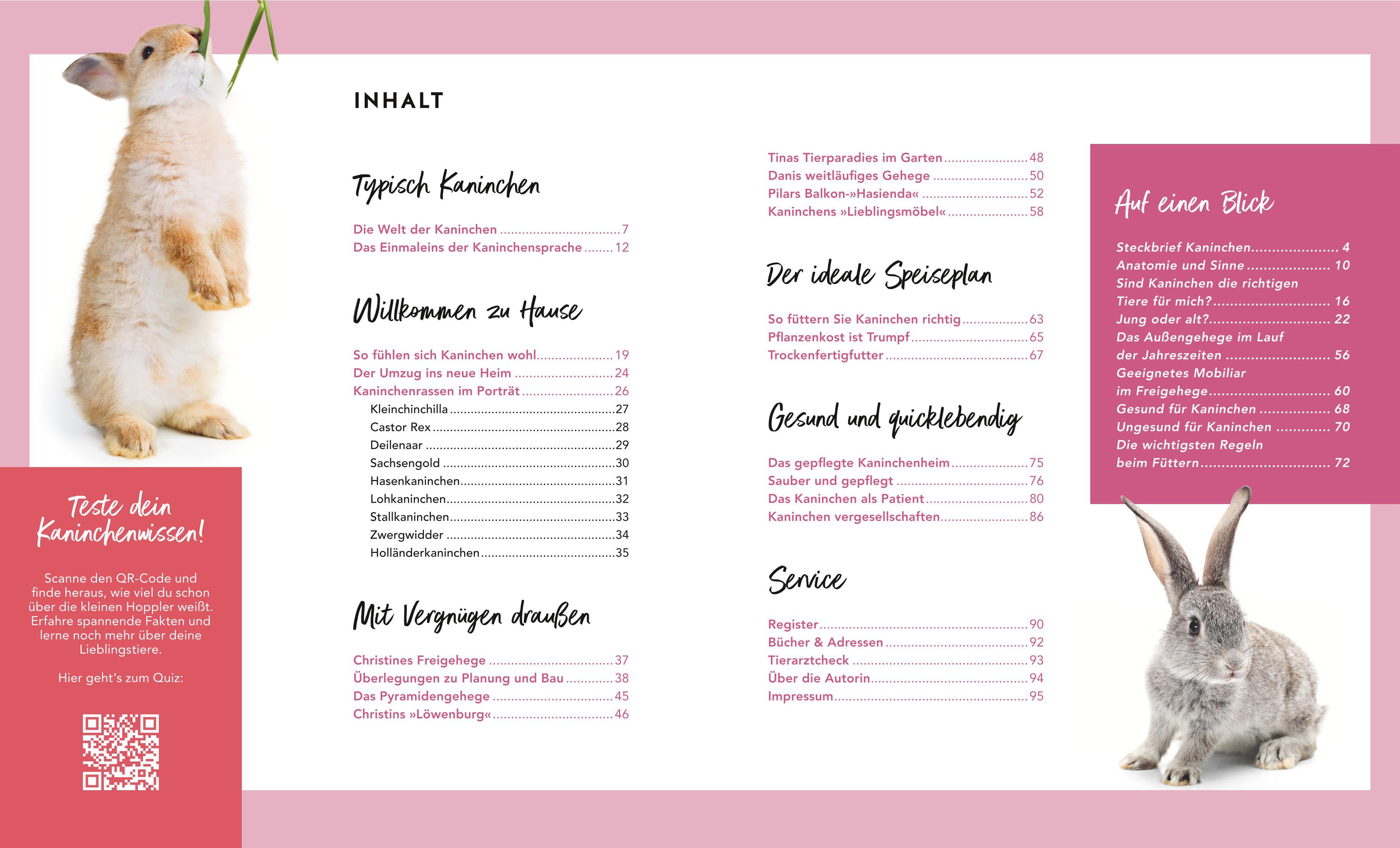 Beispielinhalt (Bild) Kaninchen im Außengehege