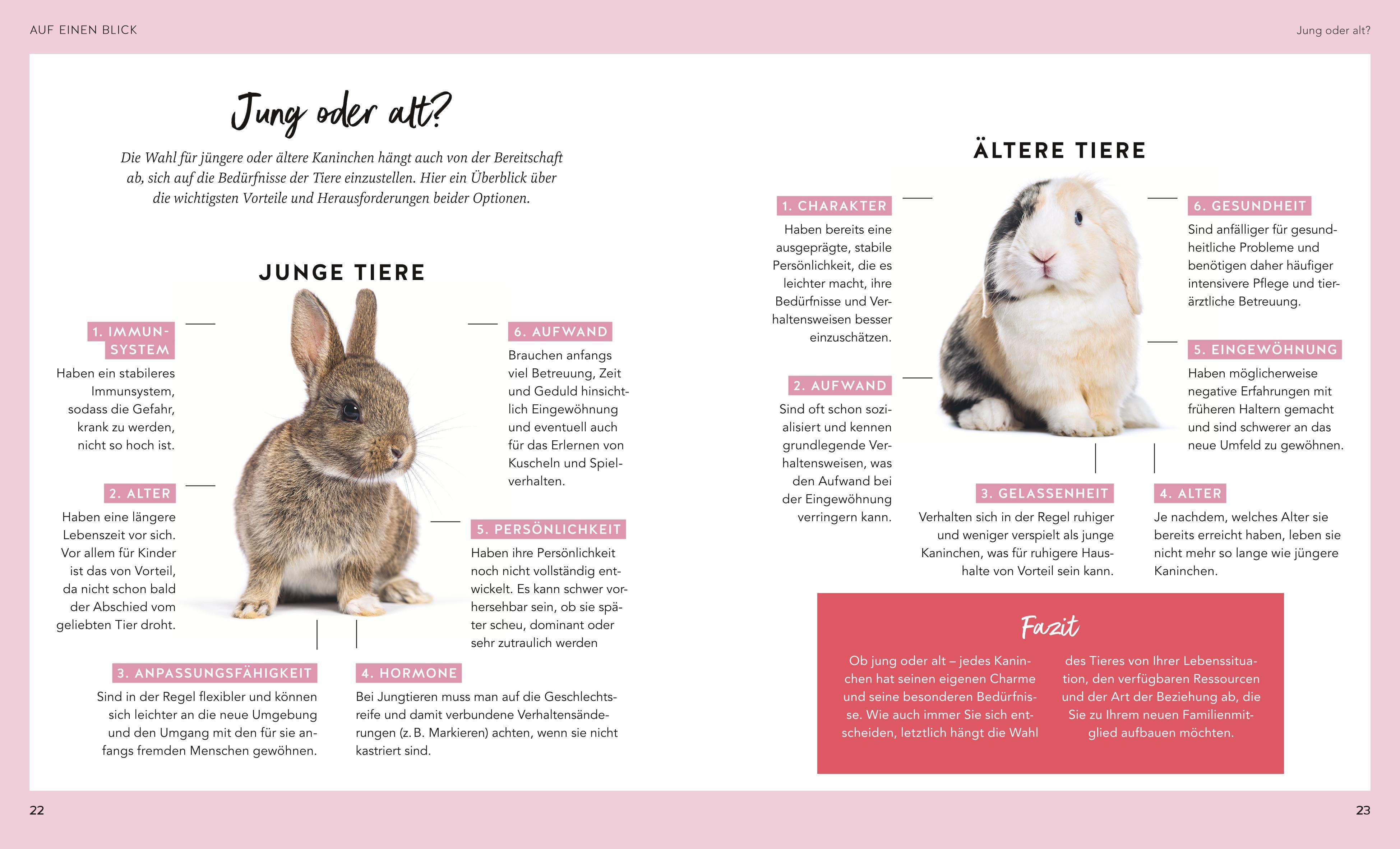 Beispielinhalt (Bild) Kaninchen im Außengehege