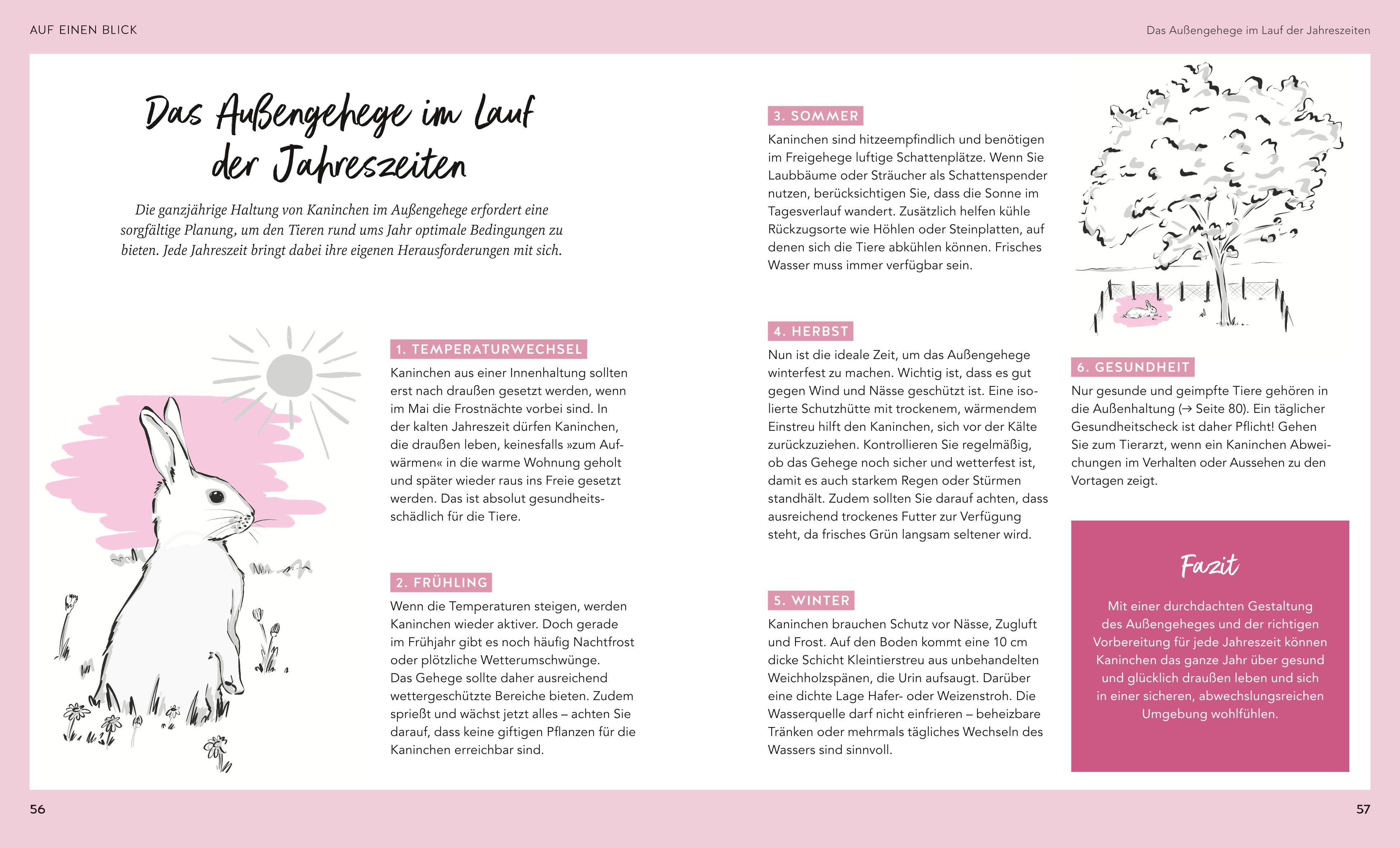 Beispielinhalt (Bild) Kaninchen im Außengehege