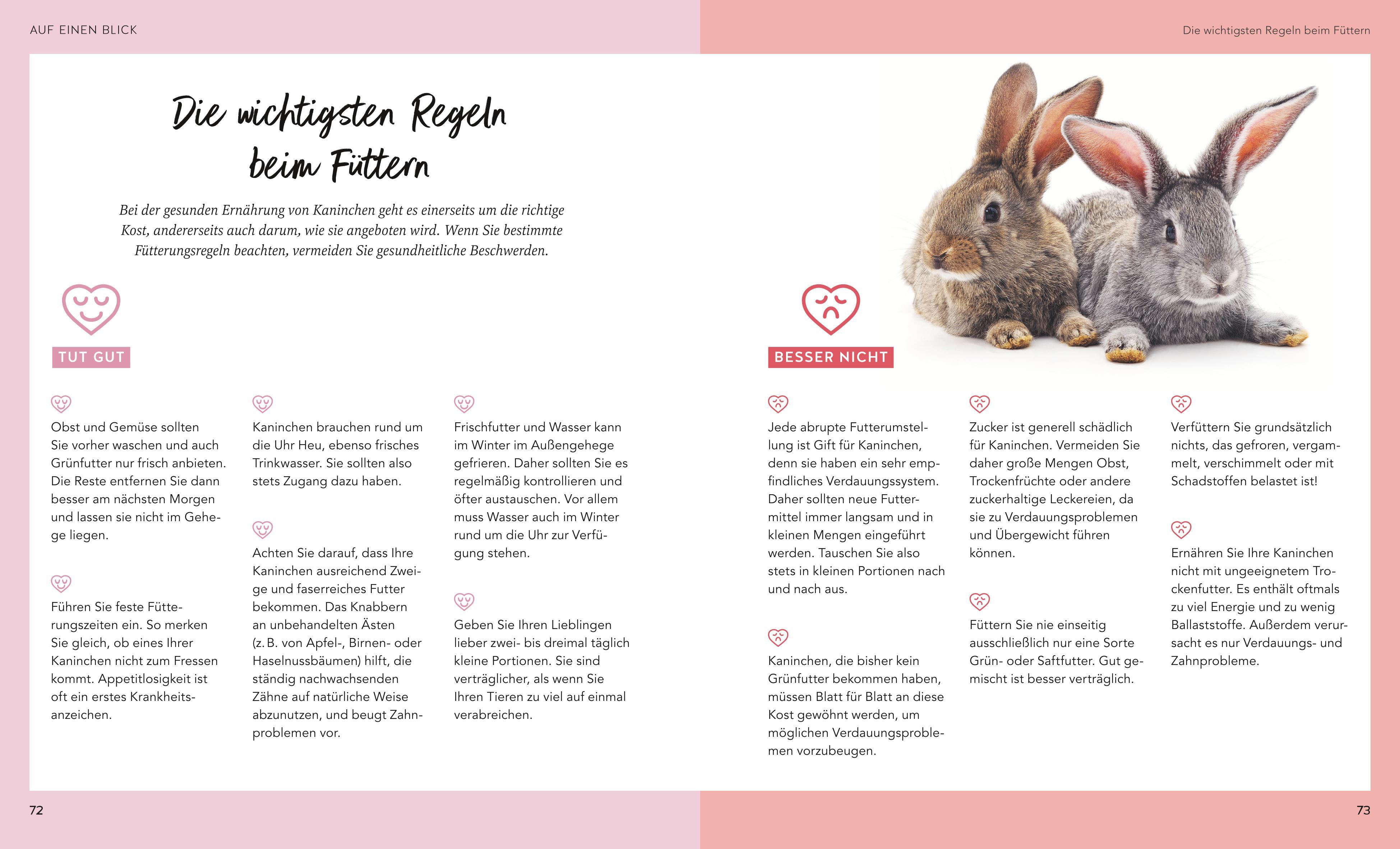 Beispielinhalt (Bild) Kaninchen im Außengehege