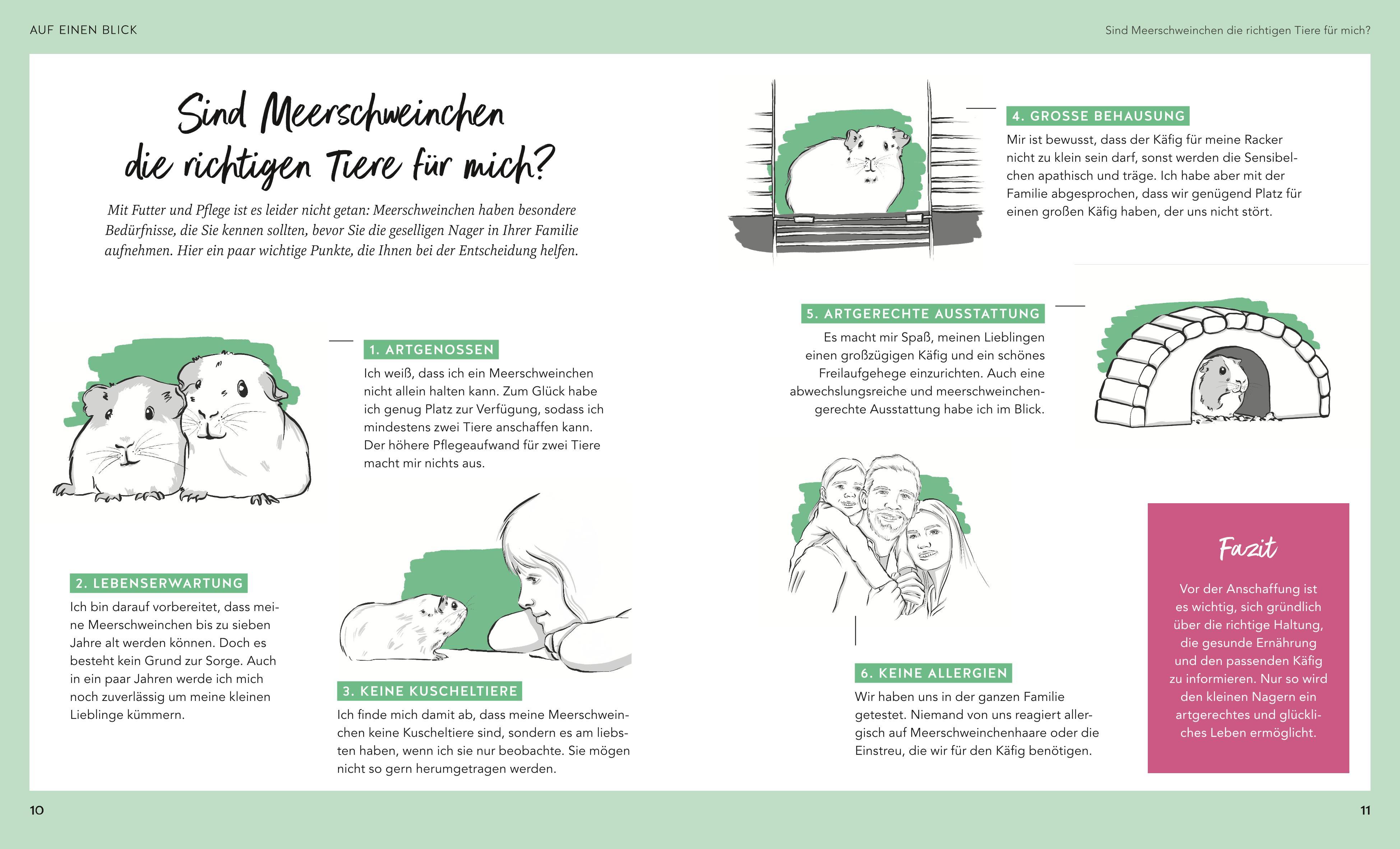 Beispielinhalt (Bild) Meerschweinchen