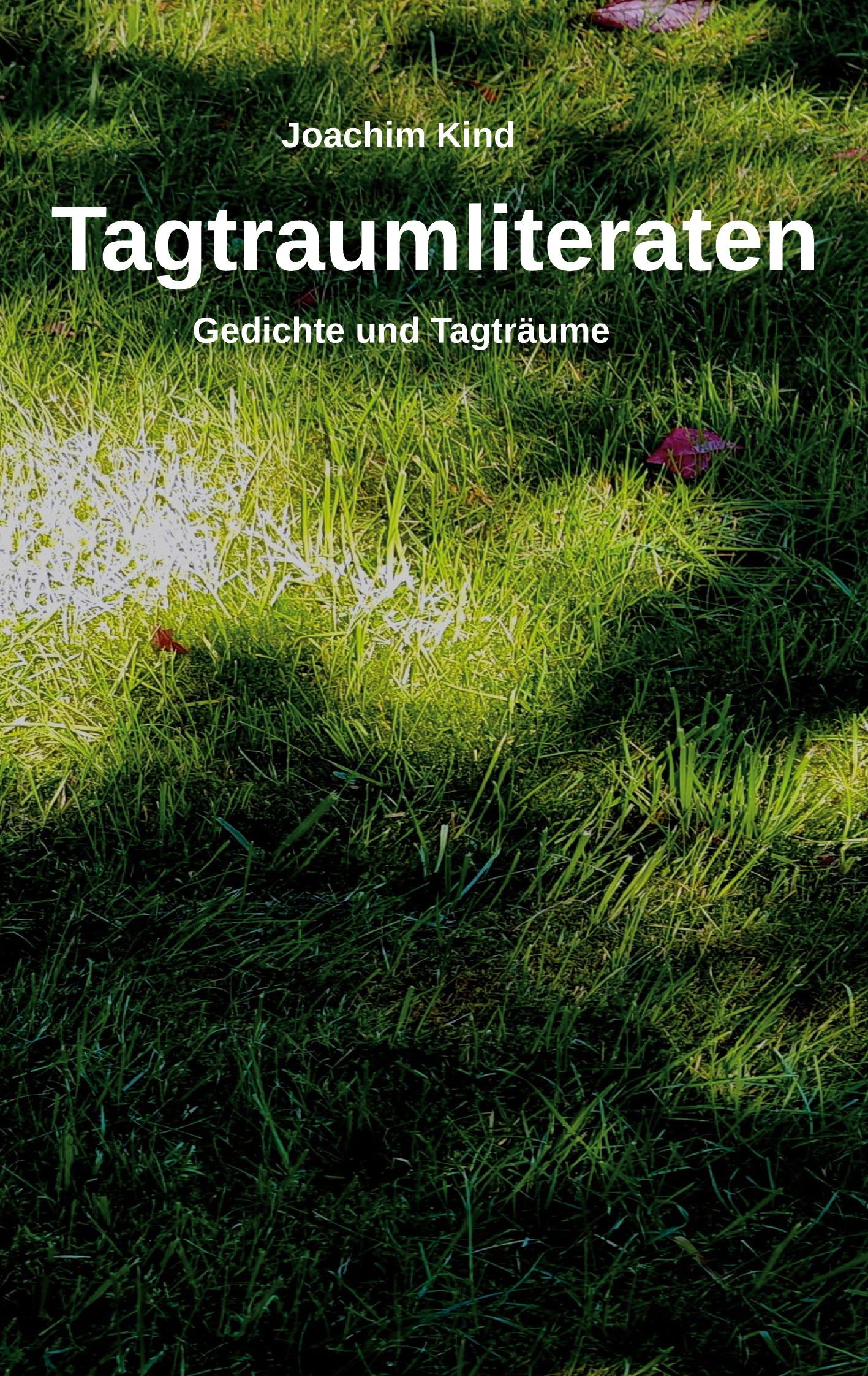 Vorderes Coverbild Tagtraumliteraten