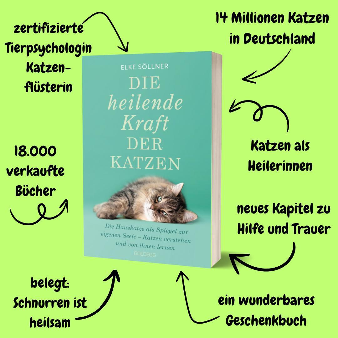 Beispielinhalt (Bild) Die heilende Kraft der Katzen, 2. Auflage, Bestseller
