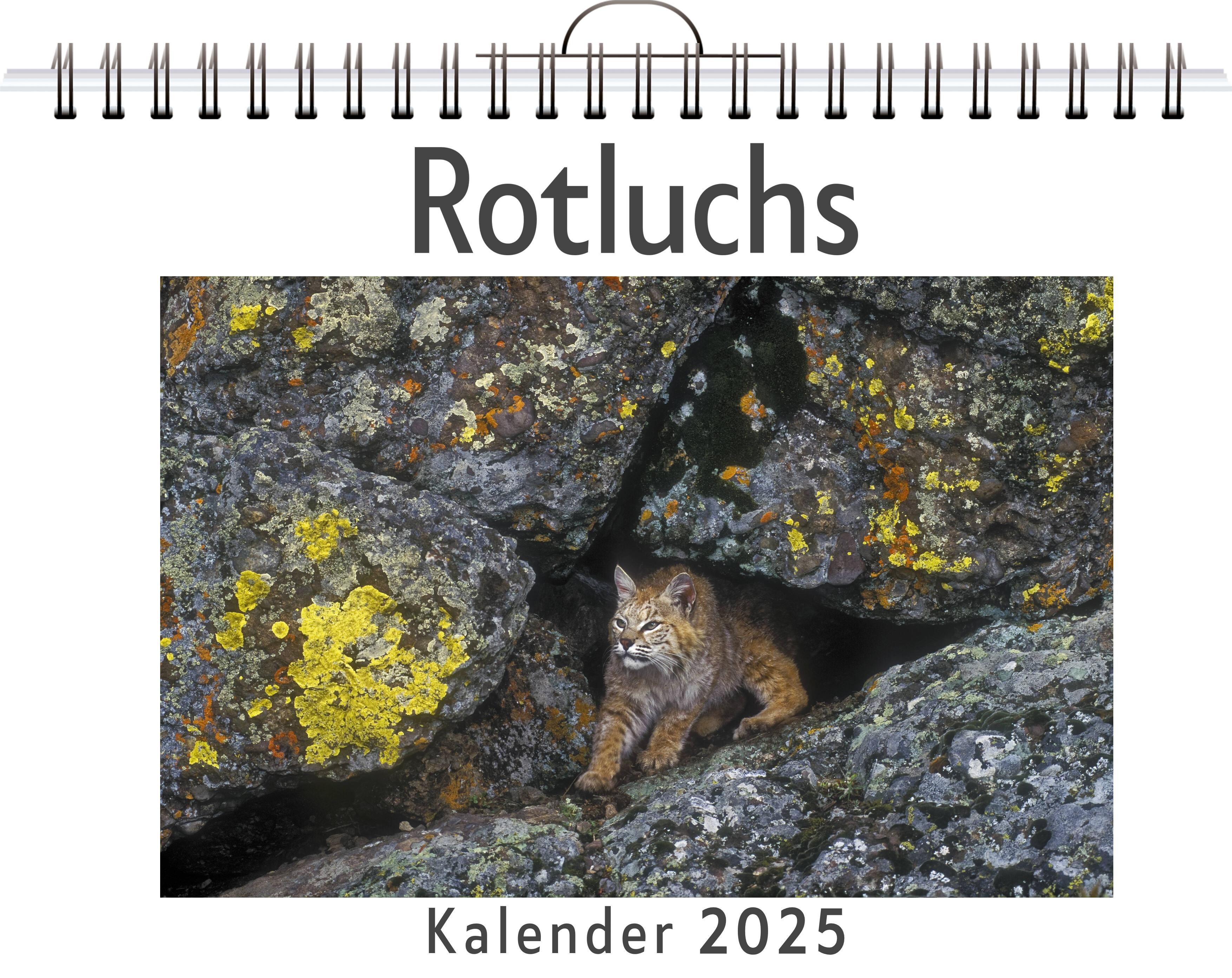 Vorderes Coverbild Rotluchs