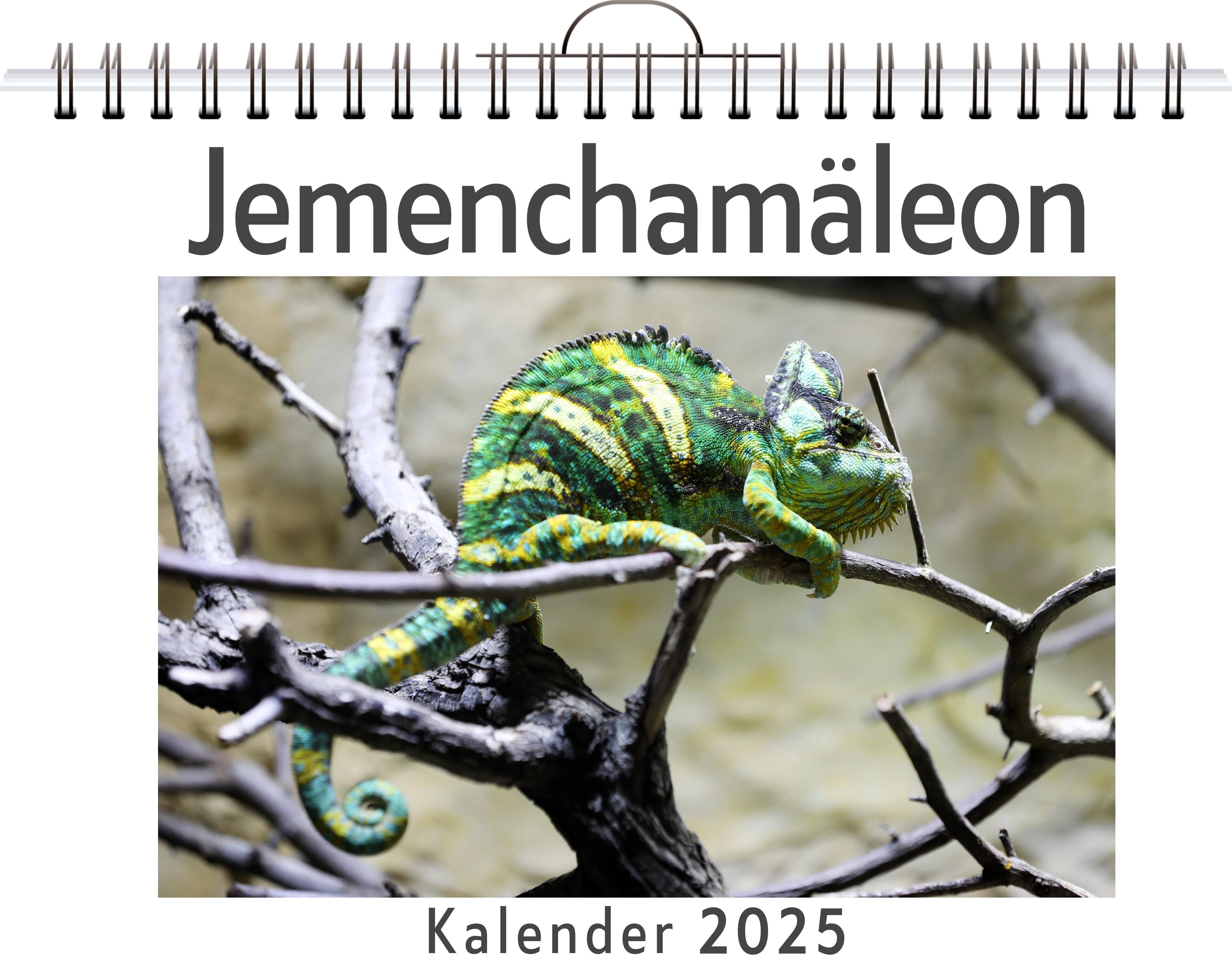 Vorderes Coverbild Jemenchamäleon