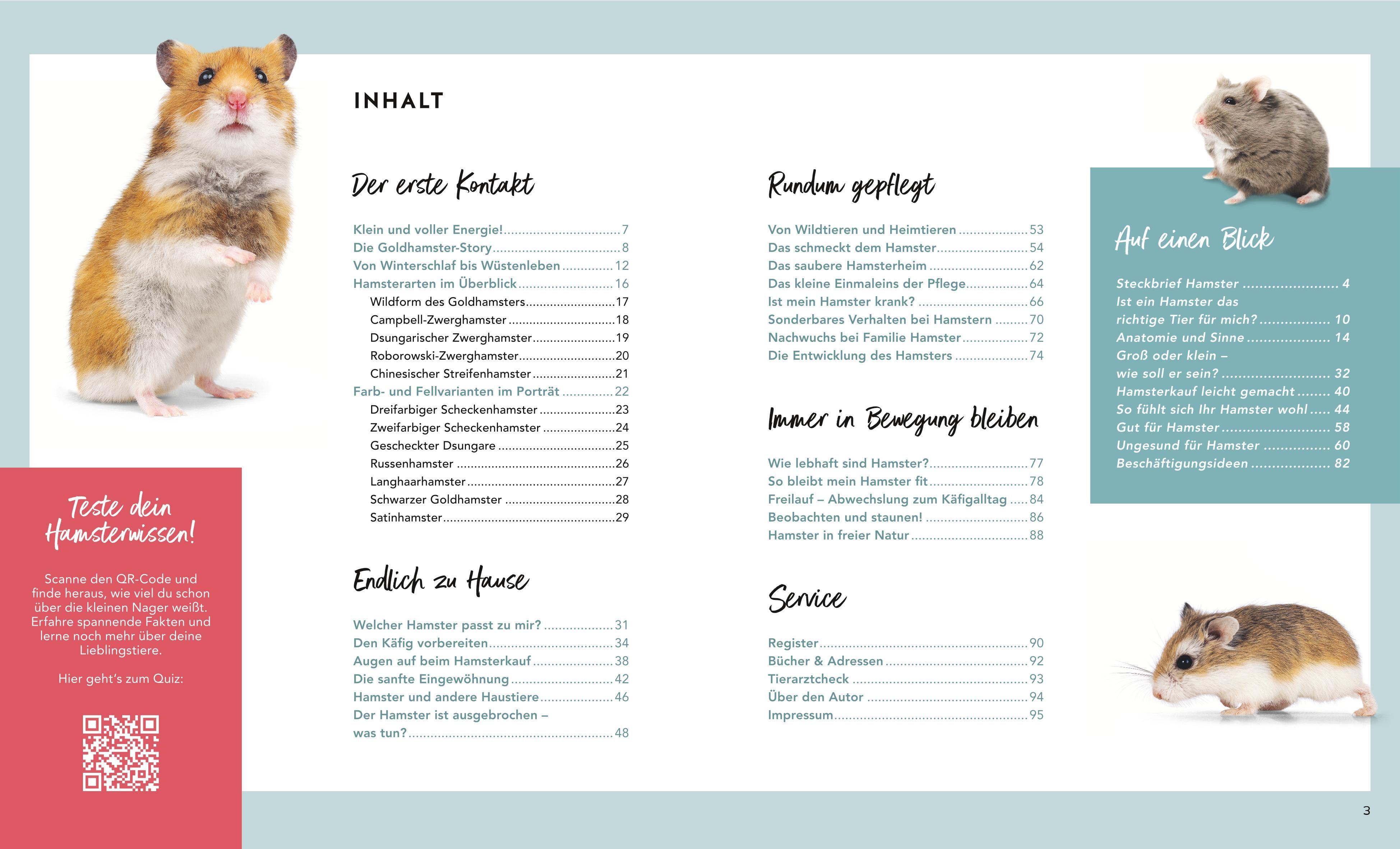 Beispielinhalt (Bild) Hamster