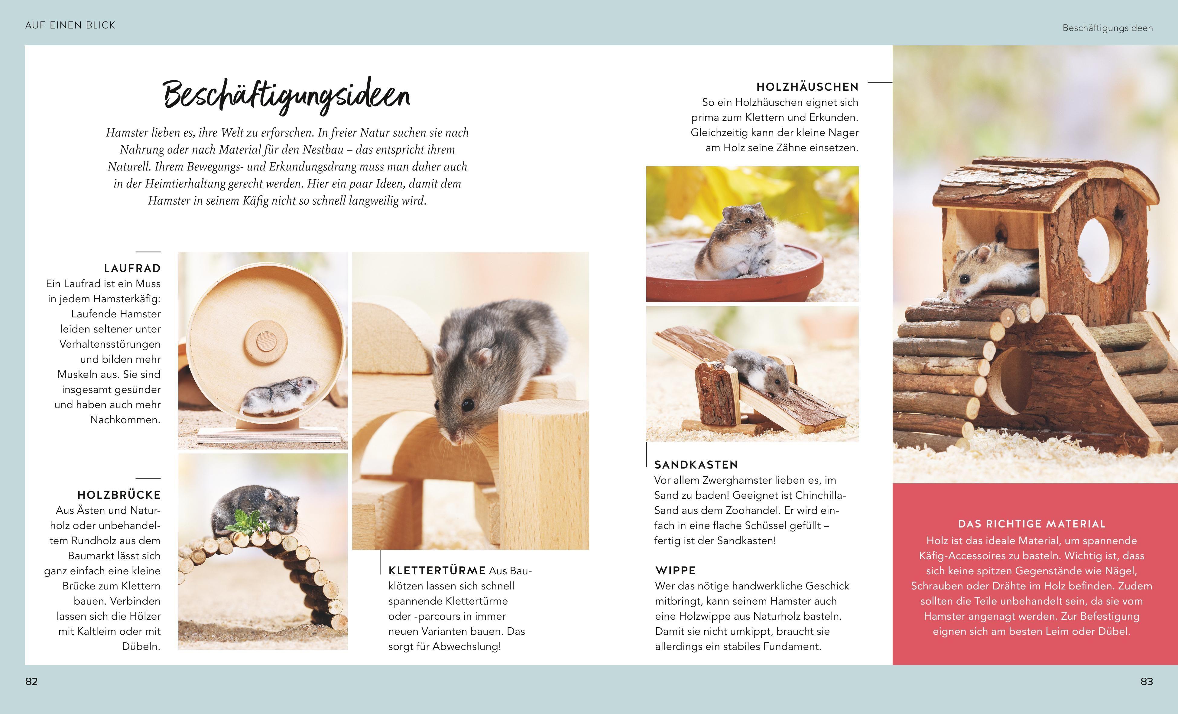 Beispielinhalt (Bild) Hamster