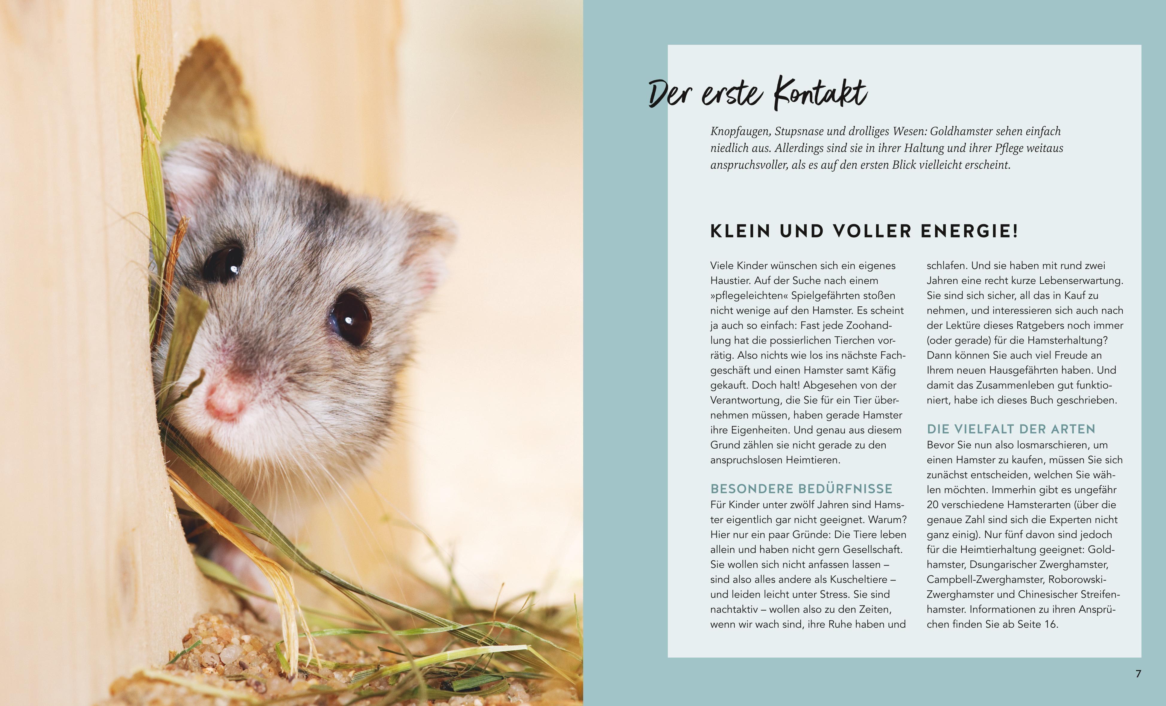 Beispielinhalt (Bild) Hamster