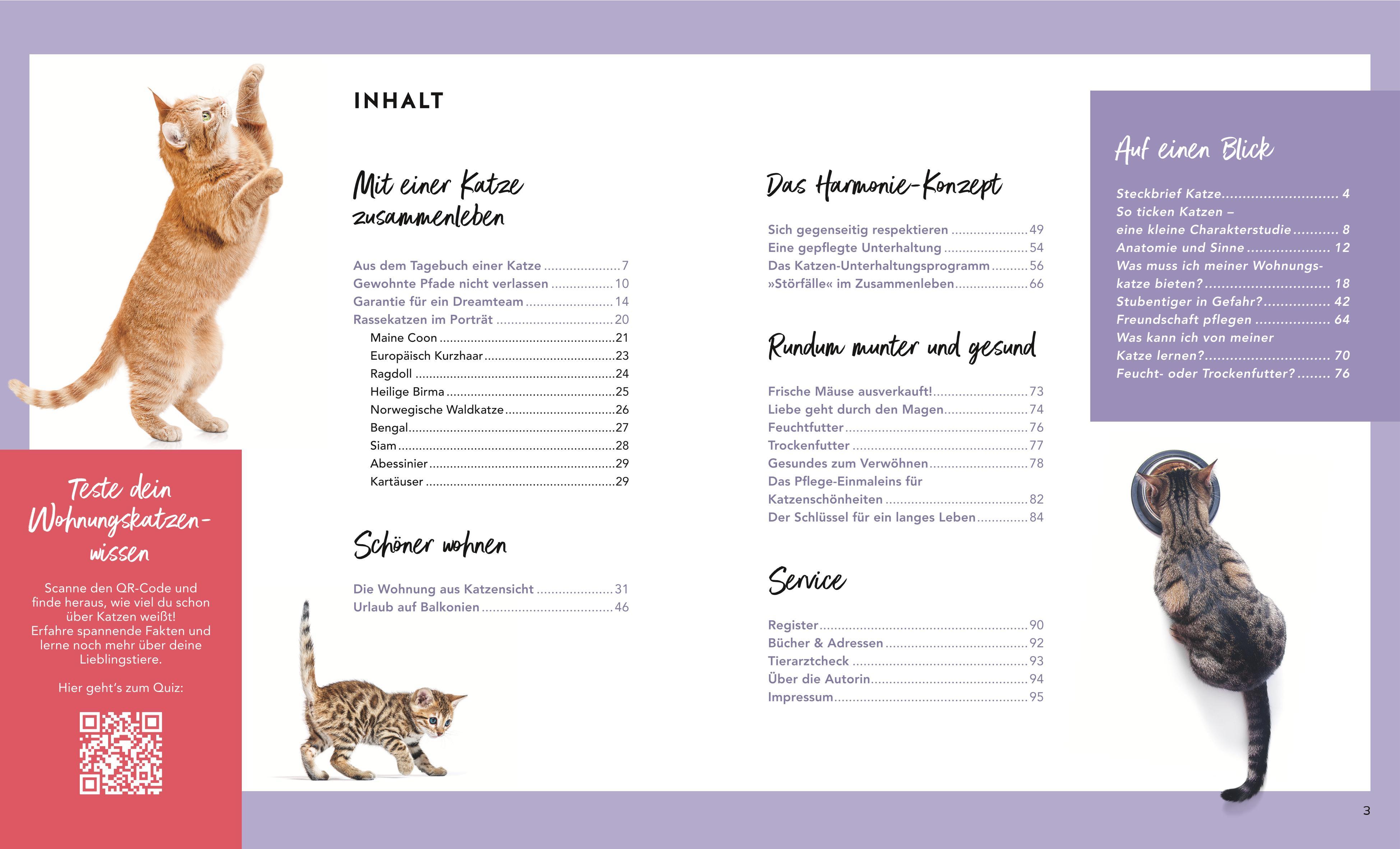 Beispielinhalt (Bild) Wohnungskatzen