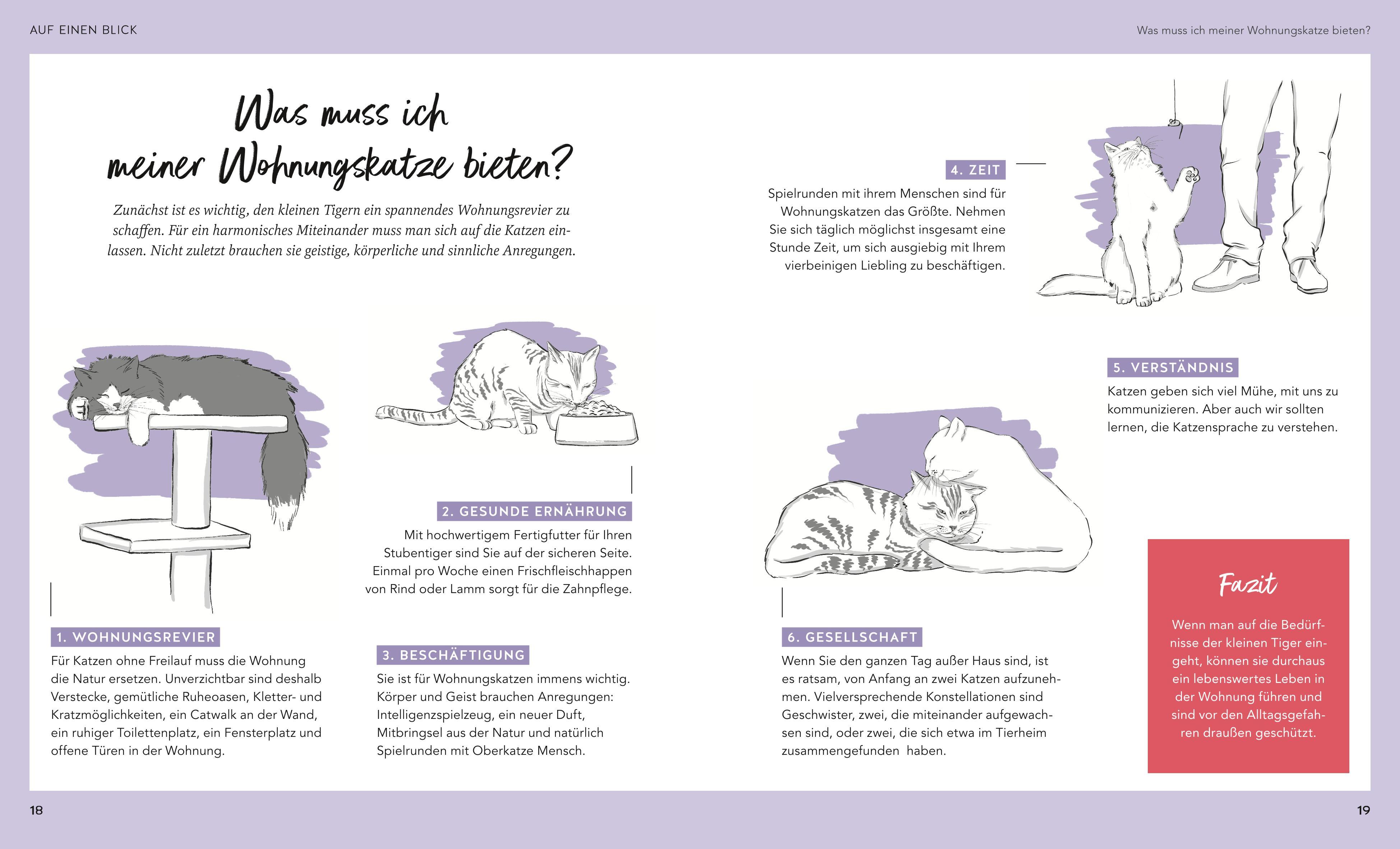 Beispielinhalt (Bild) Wohnungskatzen