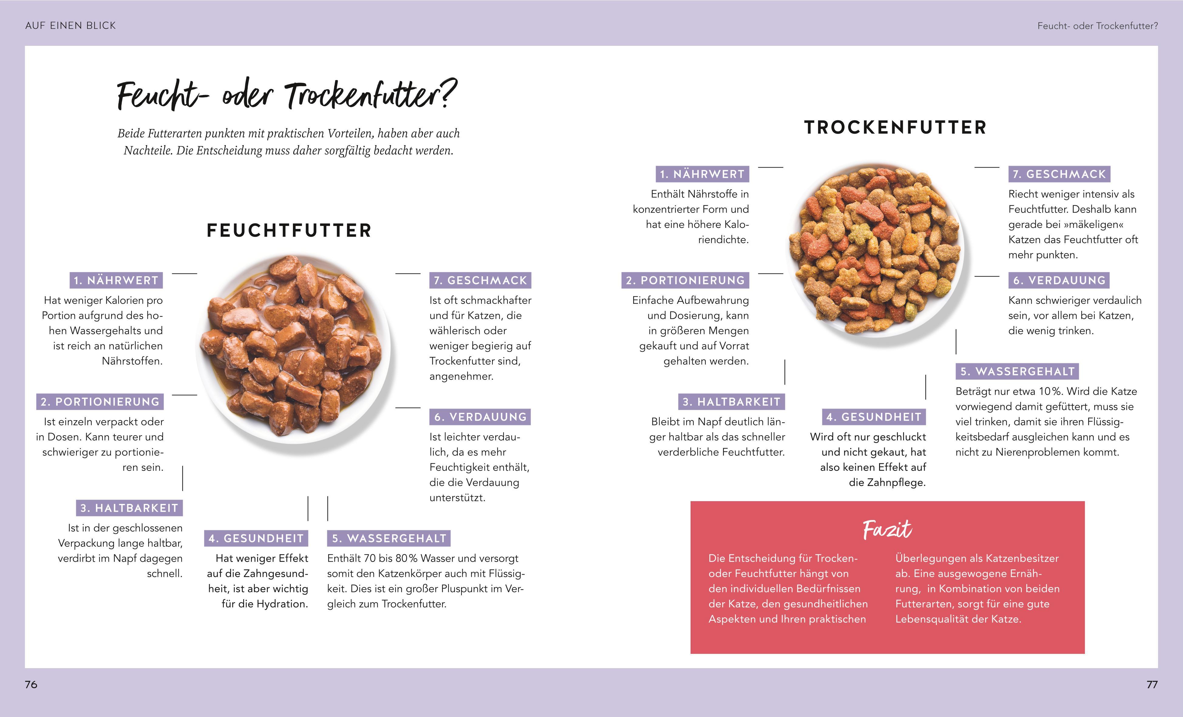 Beispielinhalt (Bild) Wohnungskatzen