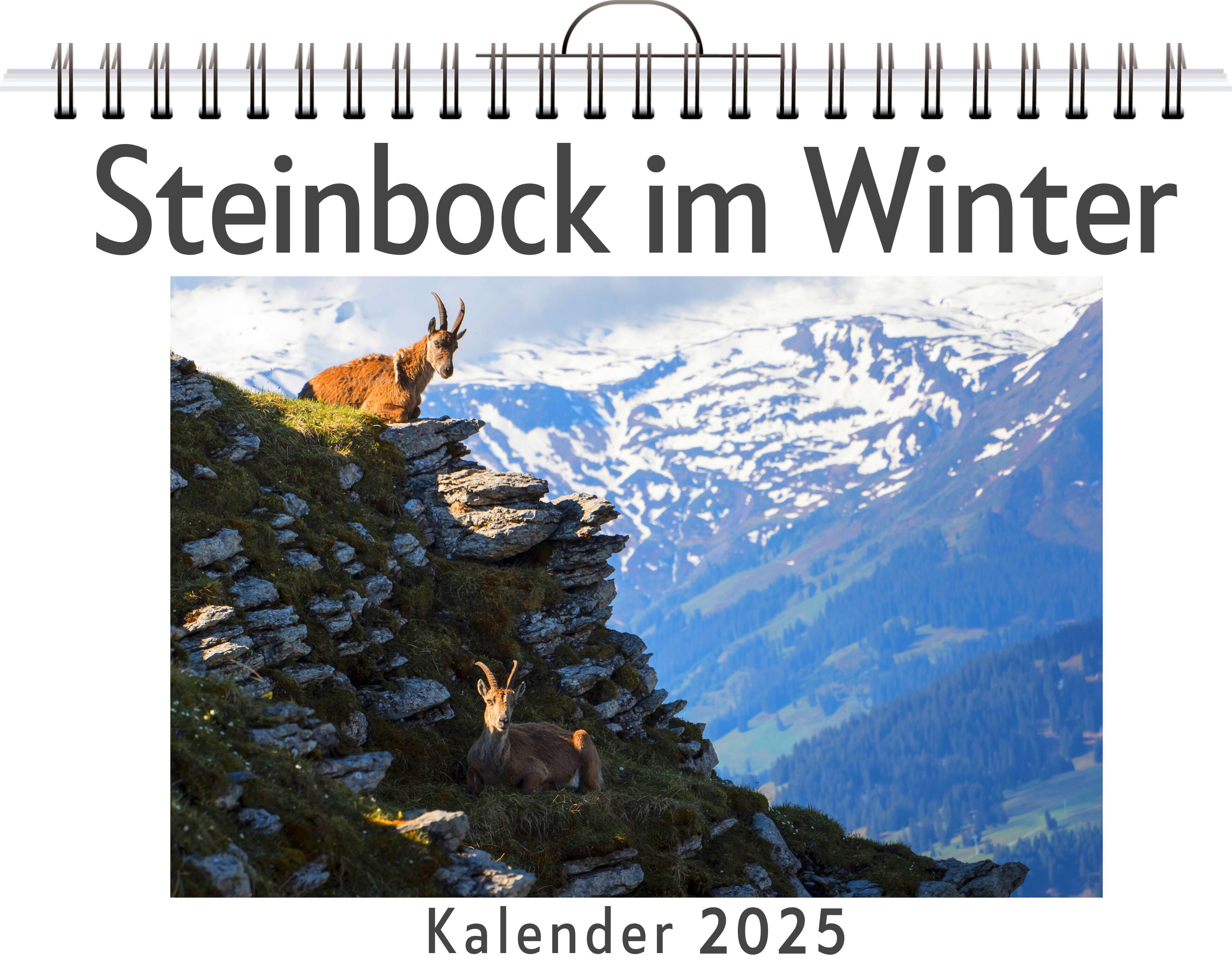 Vorderes Coverbild Steinbock im Winter