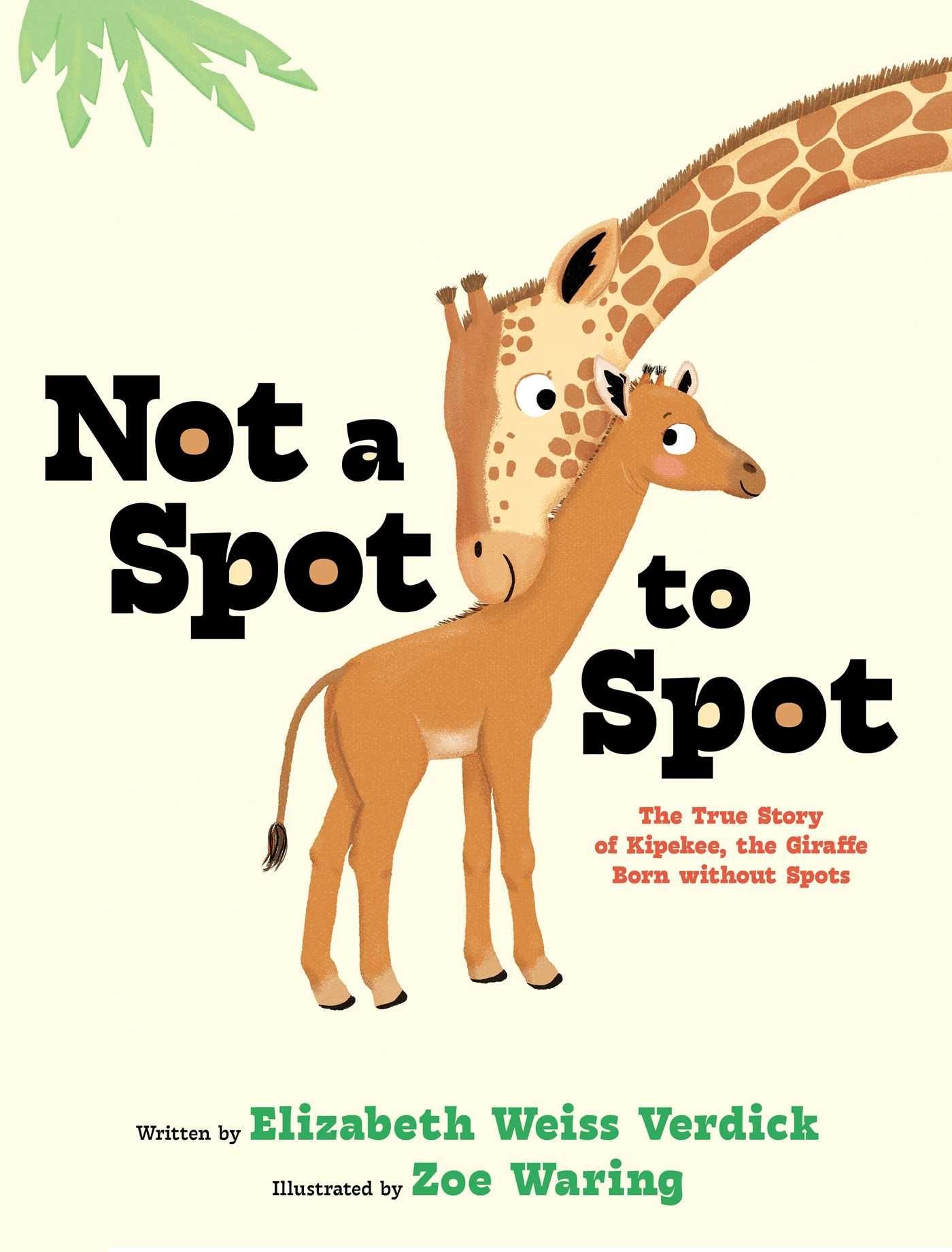 Vorderes Coverbild Not a Spot to Spot
