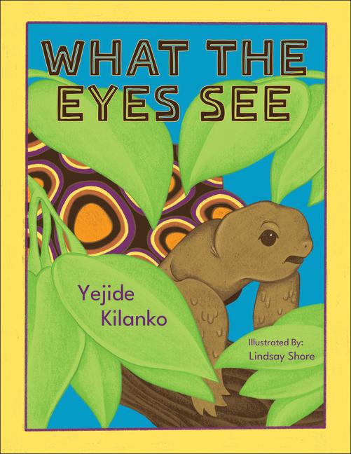 Vorderes Coverbild What the Eyes See