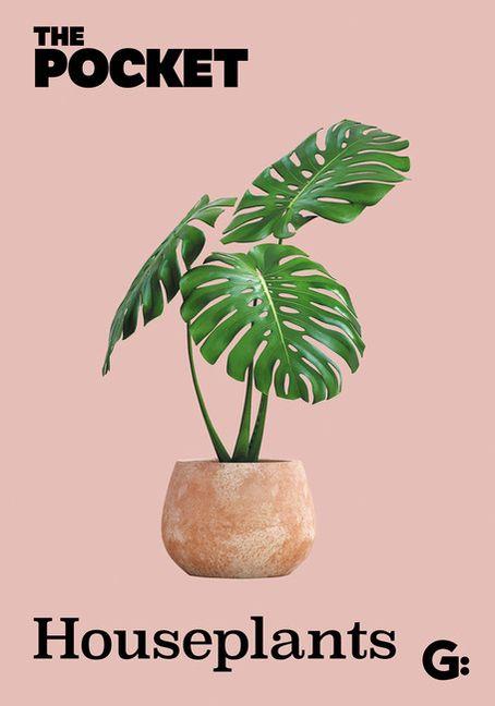 Vorderes Coverbild The Pocket Houseplants