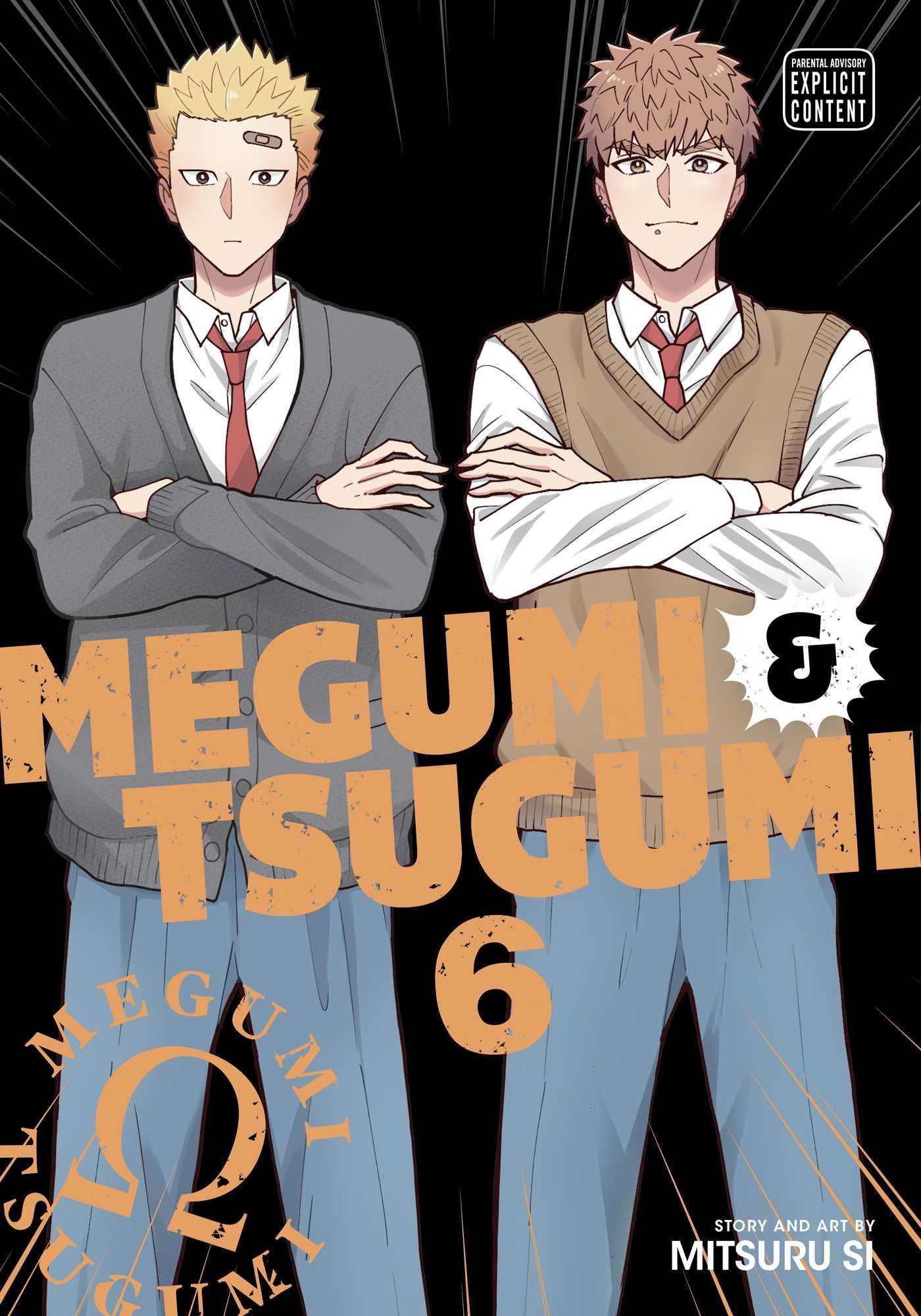 Vorderes Coverbild Megumi & Tsugumi, Vol. 6