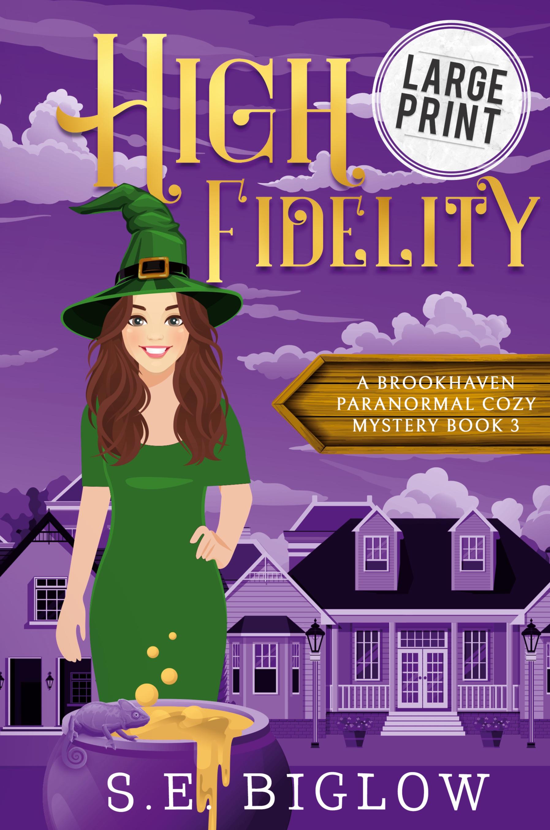 Vorderes Coverbild High Fidelity