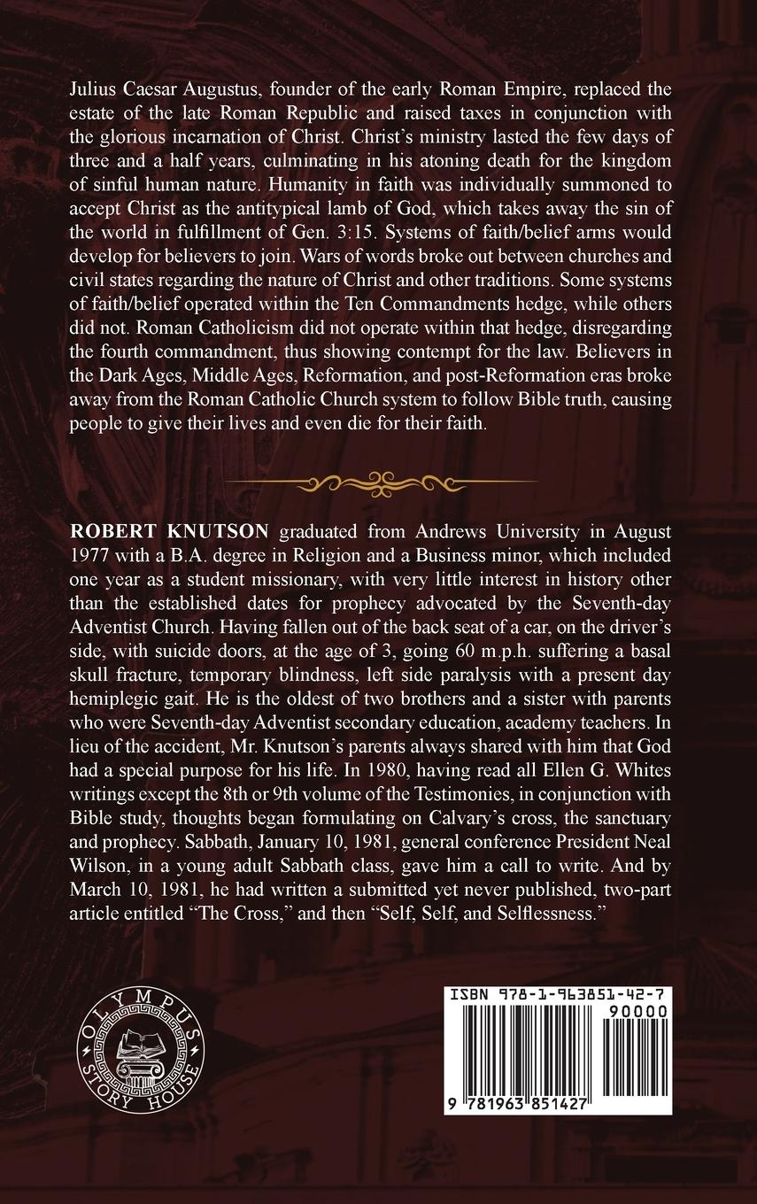 Rückseitencover The Solution?