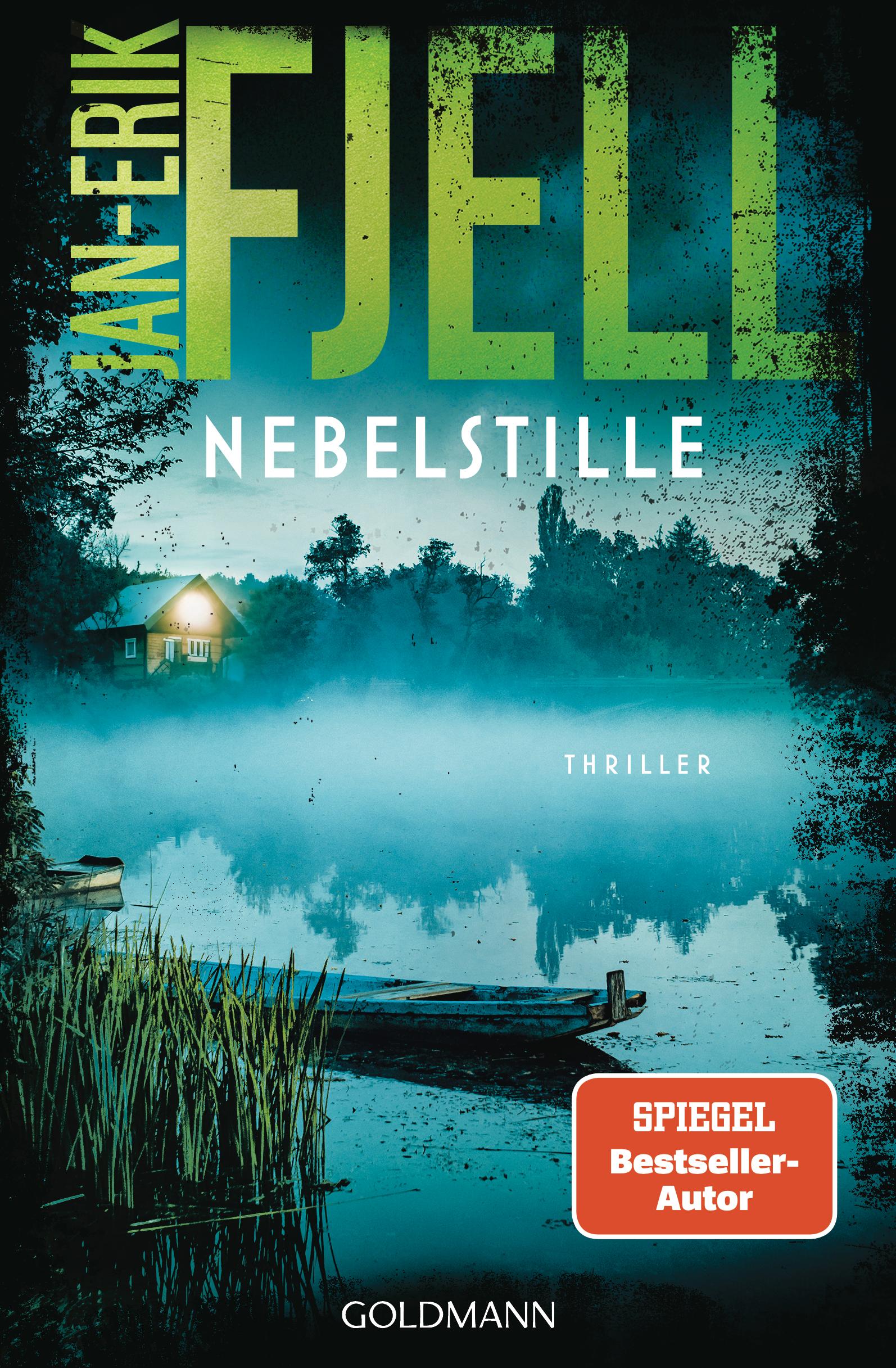 Vorderes Coverbild Nebelstille
