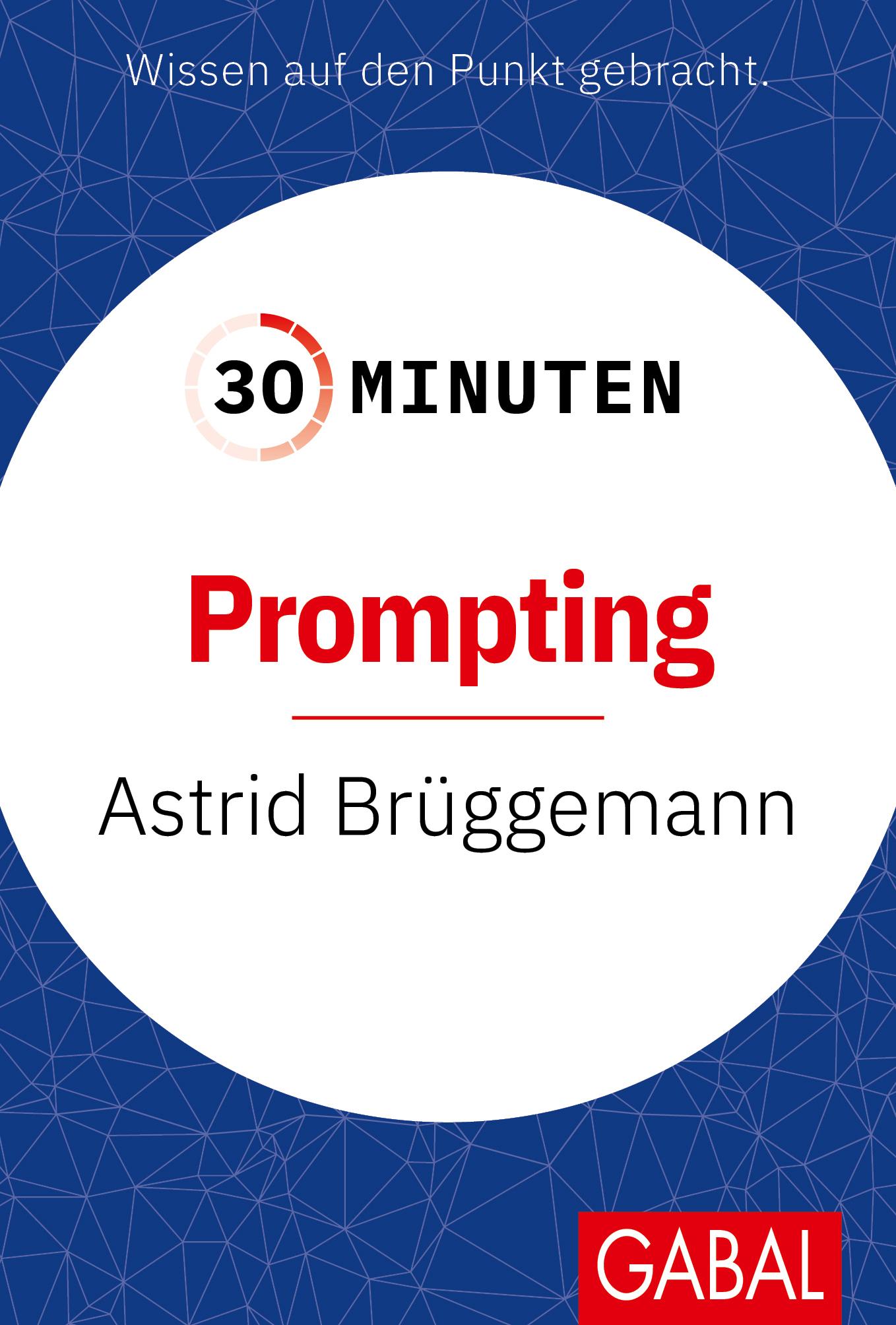 Vorderes Coverbild 30 Minuten Prompting