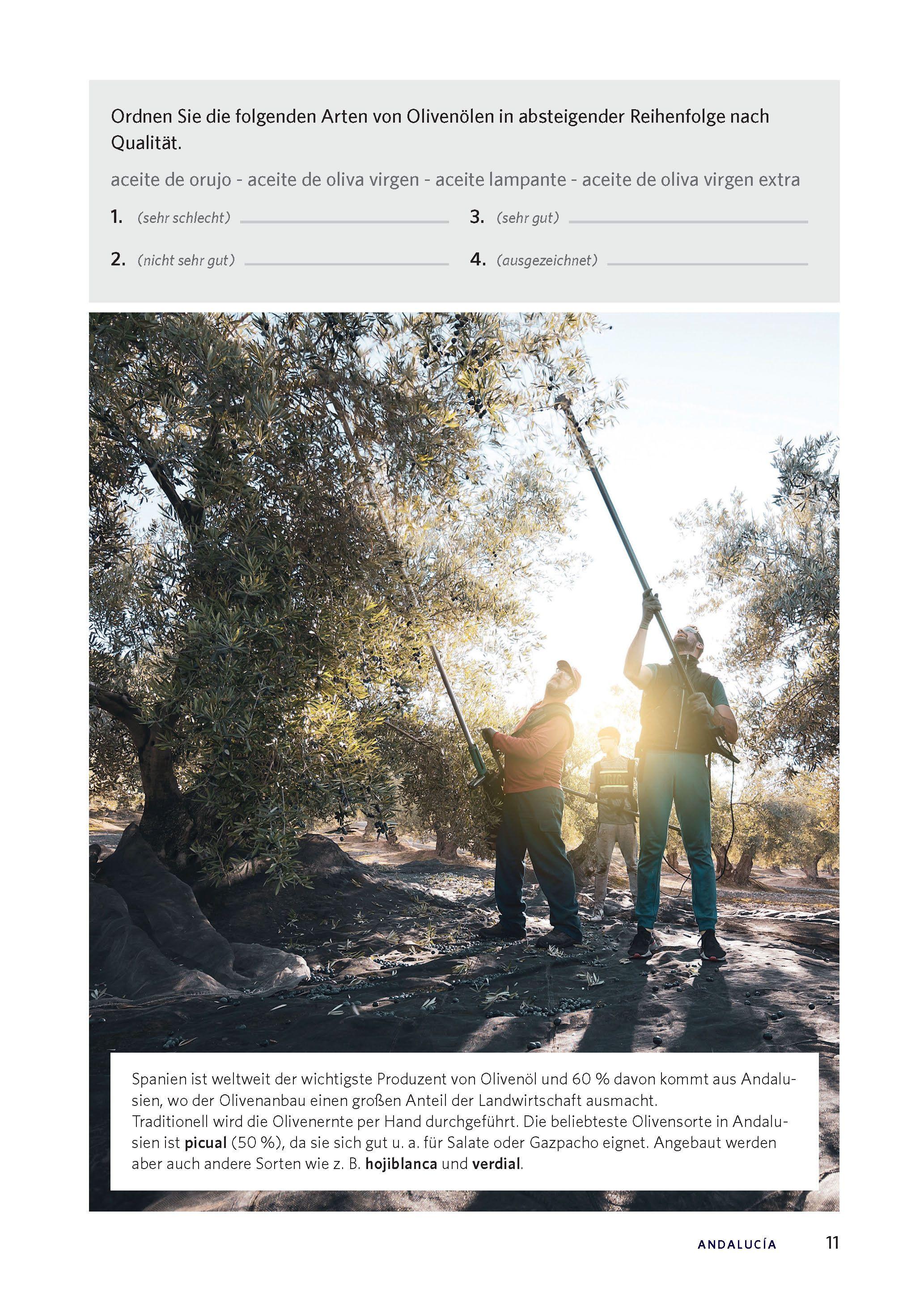 Beispielinhalt (Bild) Langenscheidt Die kulinarische Sprachreise Spanisch