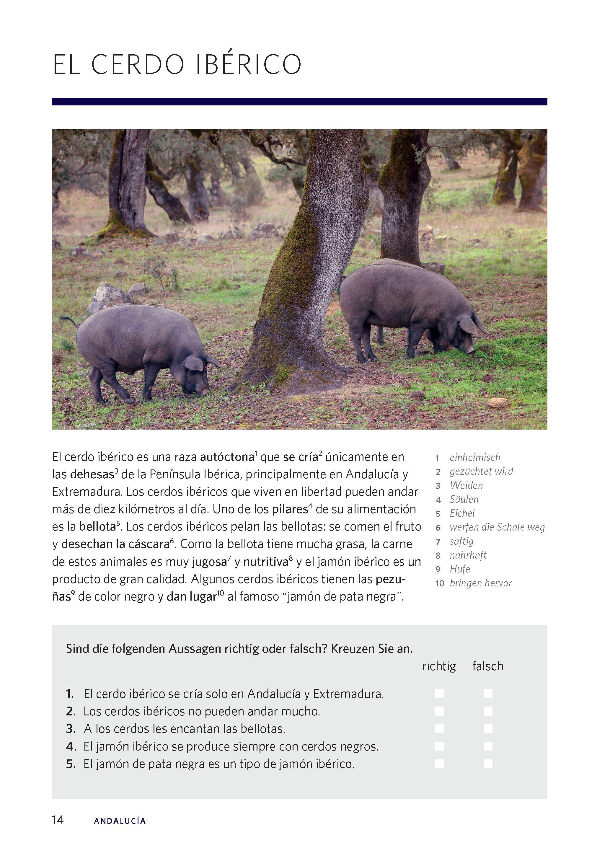 Beispielinhalt (Bild) Langenscheidt Die kulinarische Sprachreise Spanisch