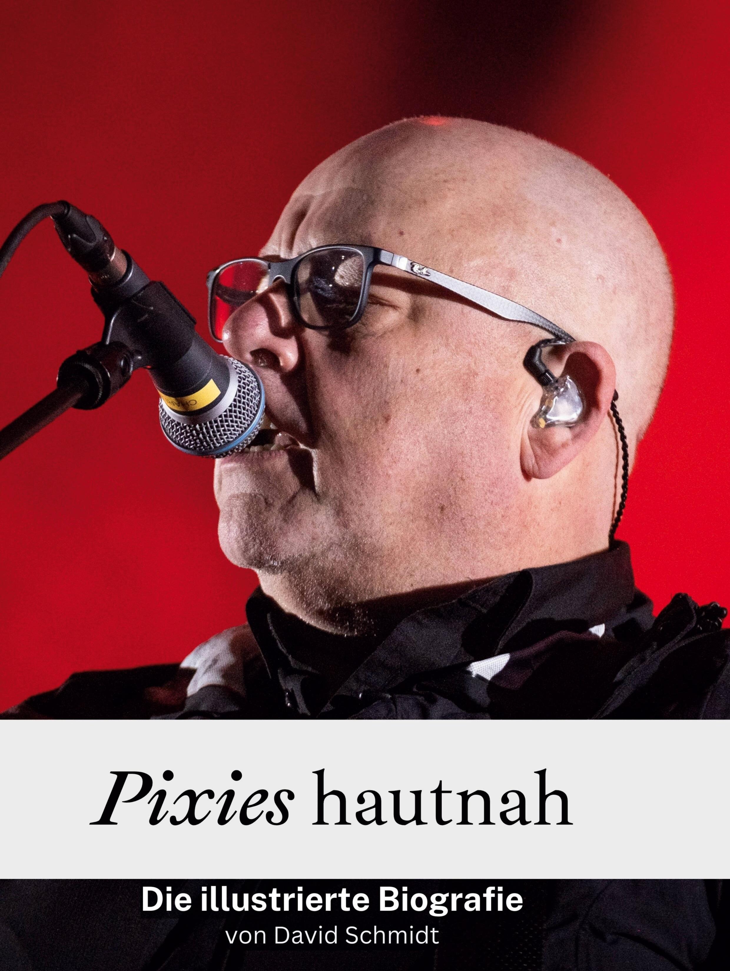 Vorderes Coverbild Pixies hautnah