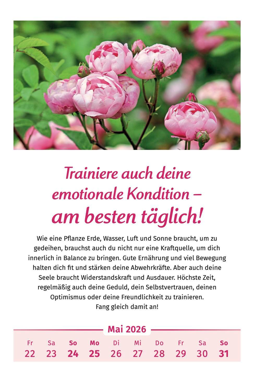 Beispielinhalt (Bild) Der Lebensfreude-Kalender 2026