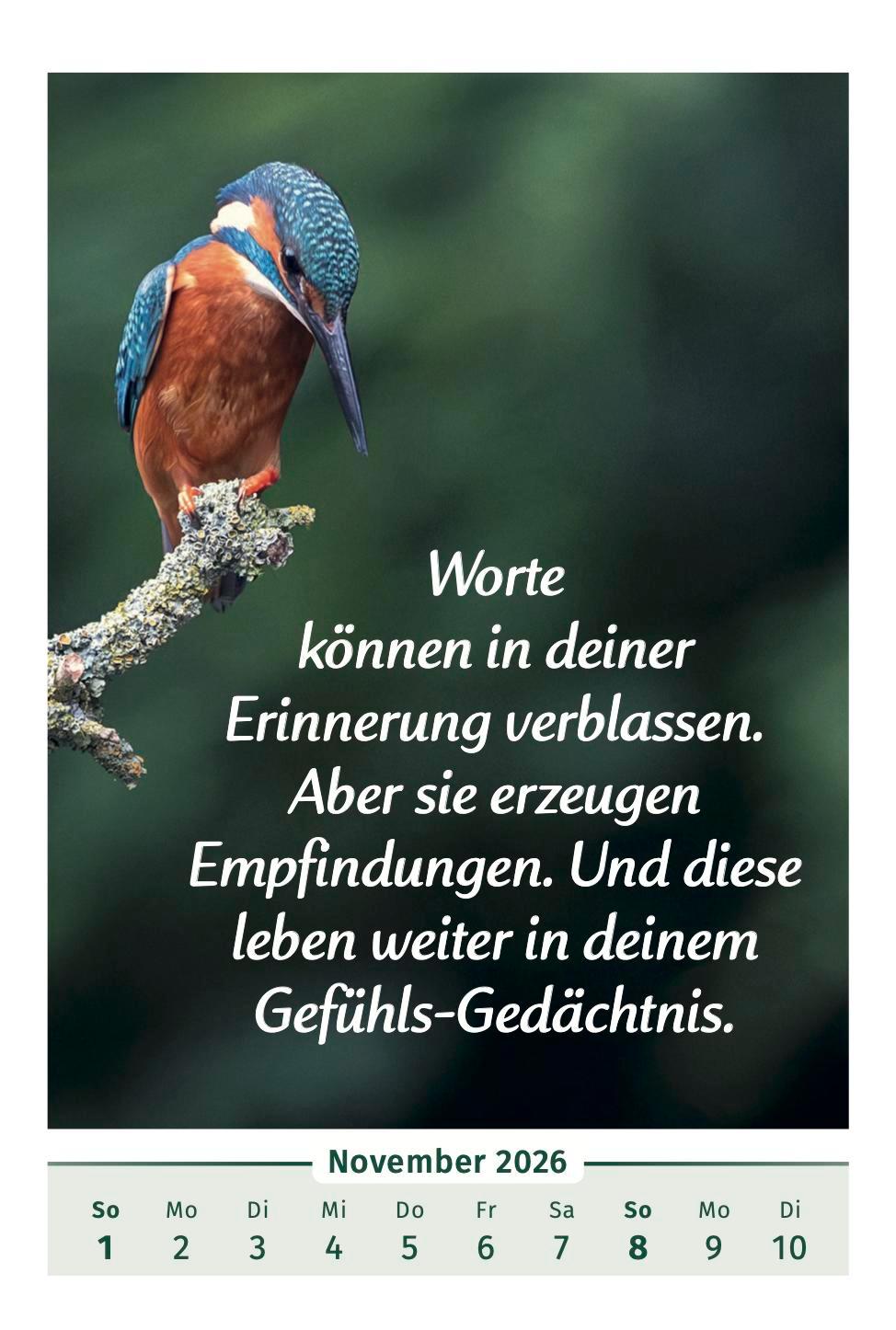 Beispielinhalt (Bild) Der Lebensfreude-Kalender 2026