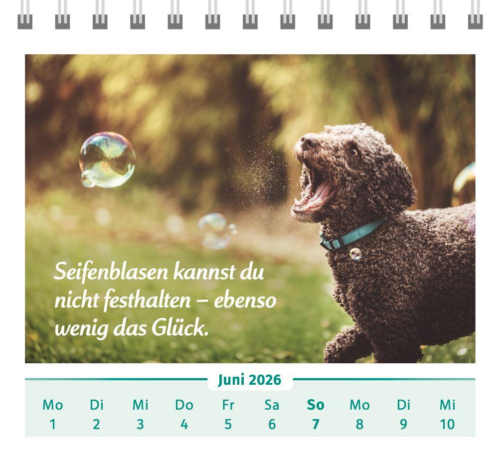 Beispielinhalt (Bild) Der Lebensfreude-Tischkalender 2026