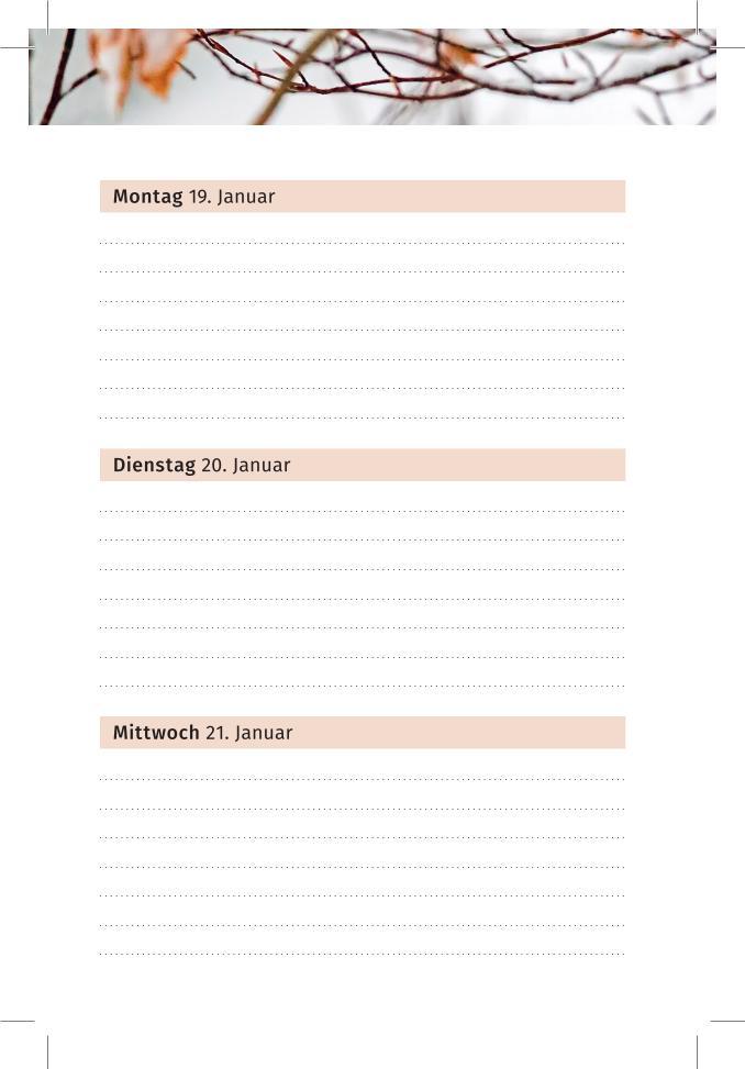 Beispielinhalt (Bild) Der Lebensfreude-Taschenkalender 2026