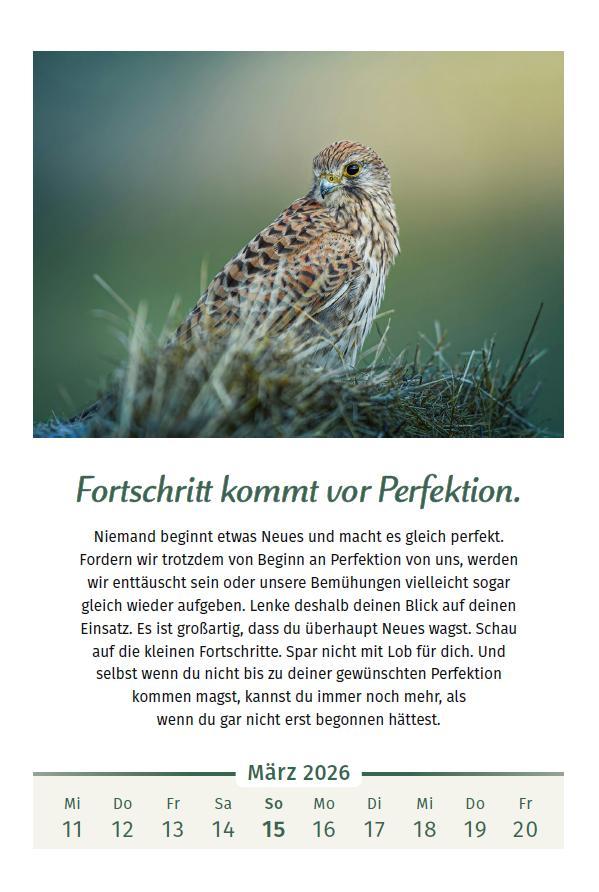 Beispielinhalt (Bild) Der Lebensfreude-Kalender 2026 im Großformat