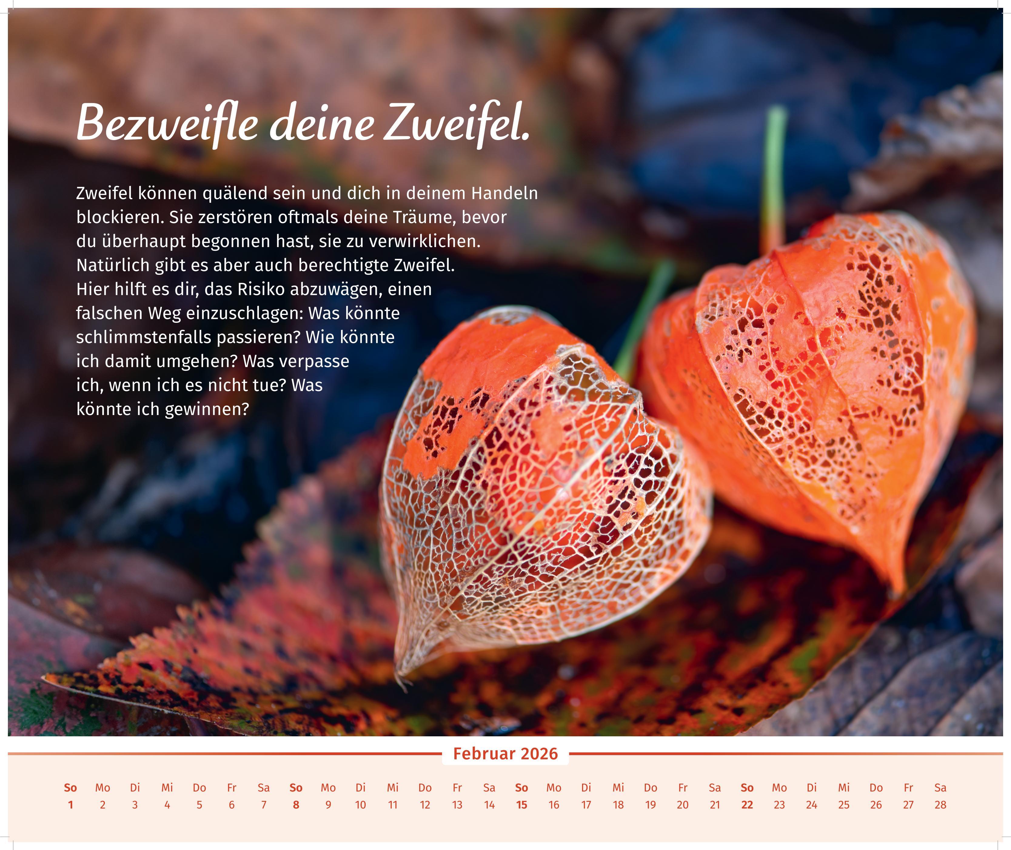 Beispielinhalt (Bild) Der Lebensfreude-Inspirationen-Kalender 2026
