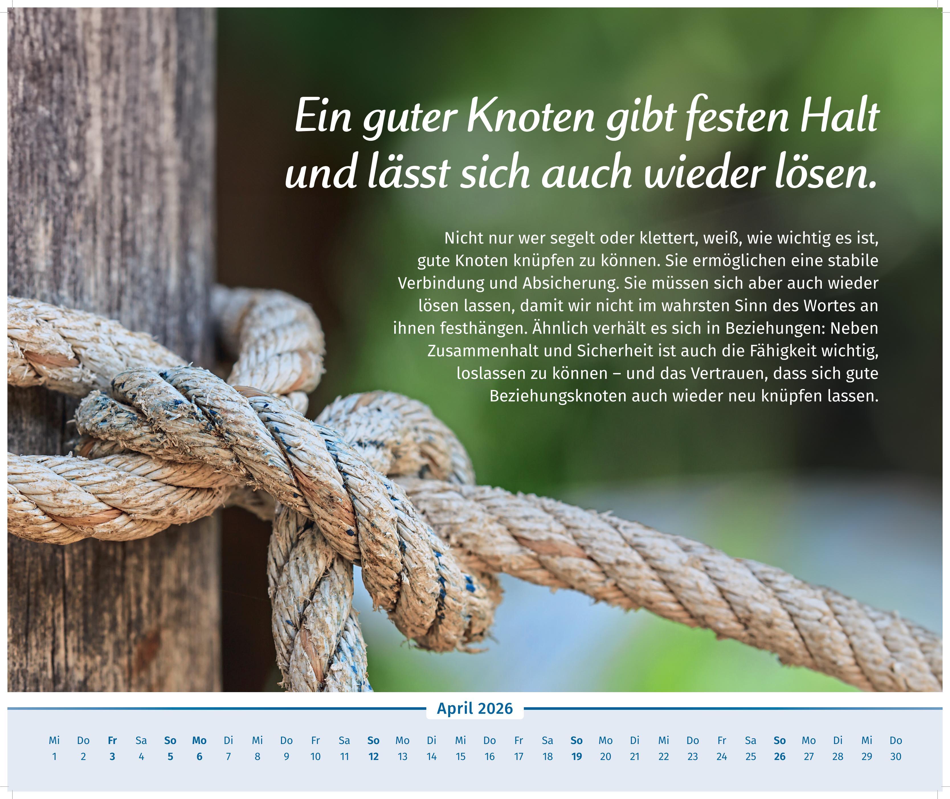 Beispielinhalt (Bild) Der Lebensfreude-Inspirationen-Kalender 2026