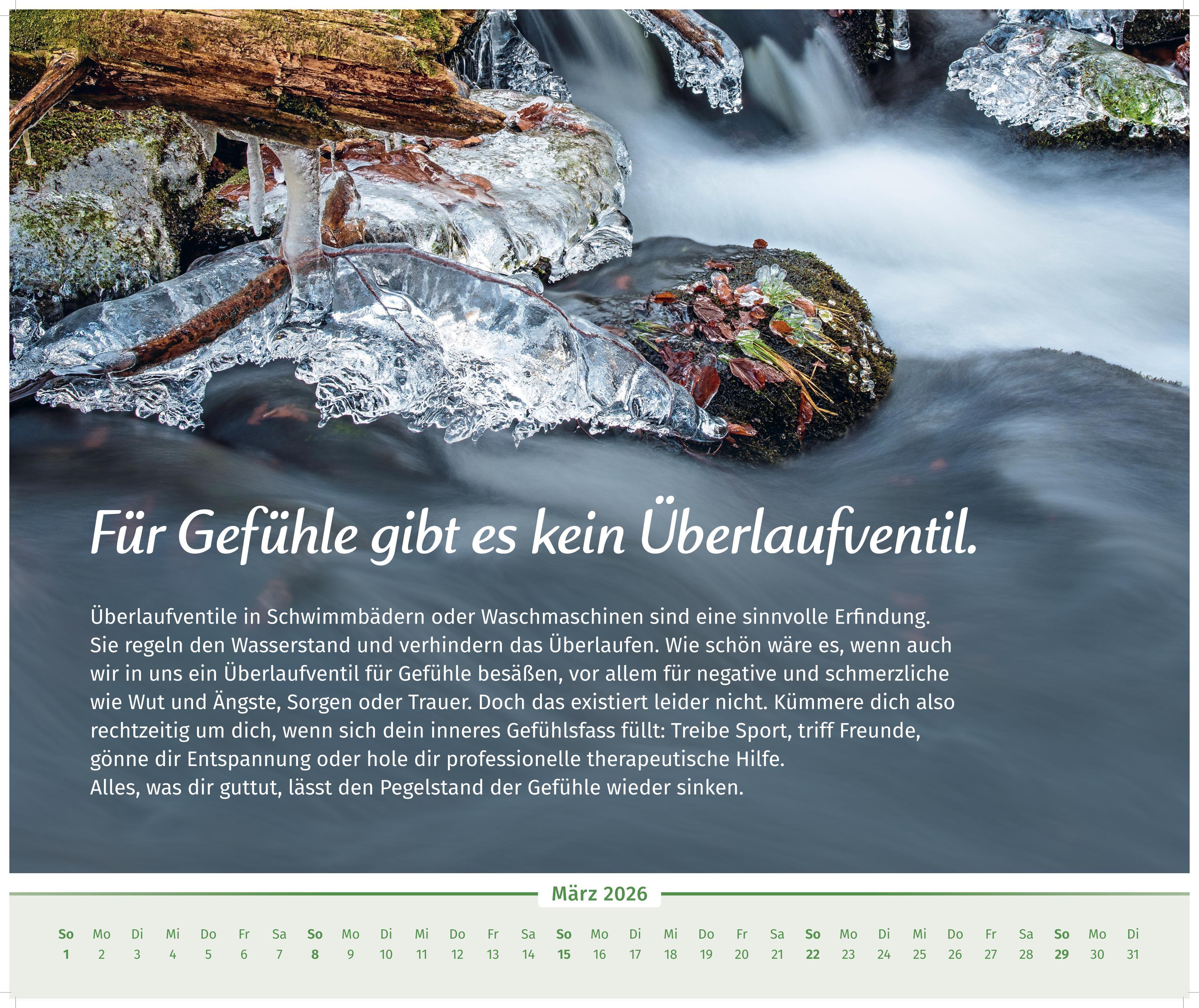 Beispielinhalt (Bild) Der Lebensfreude-Inspirationen-Kalender 2026