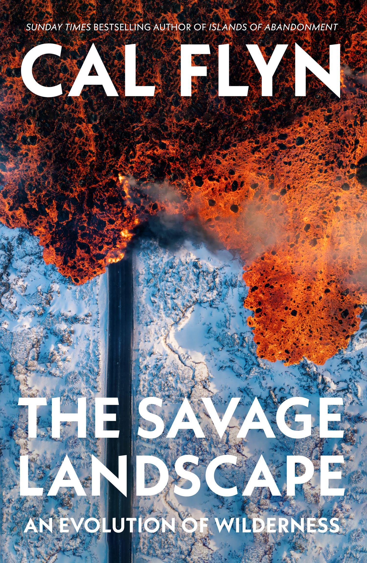 Vorderes Coverbild The Savage Landscape