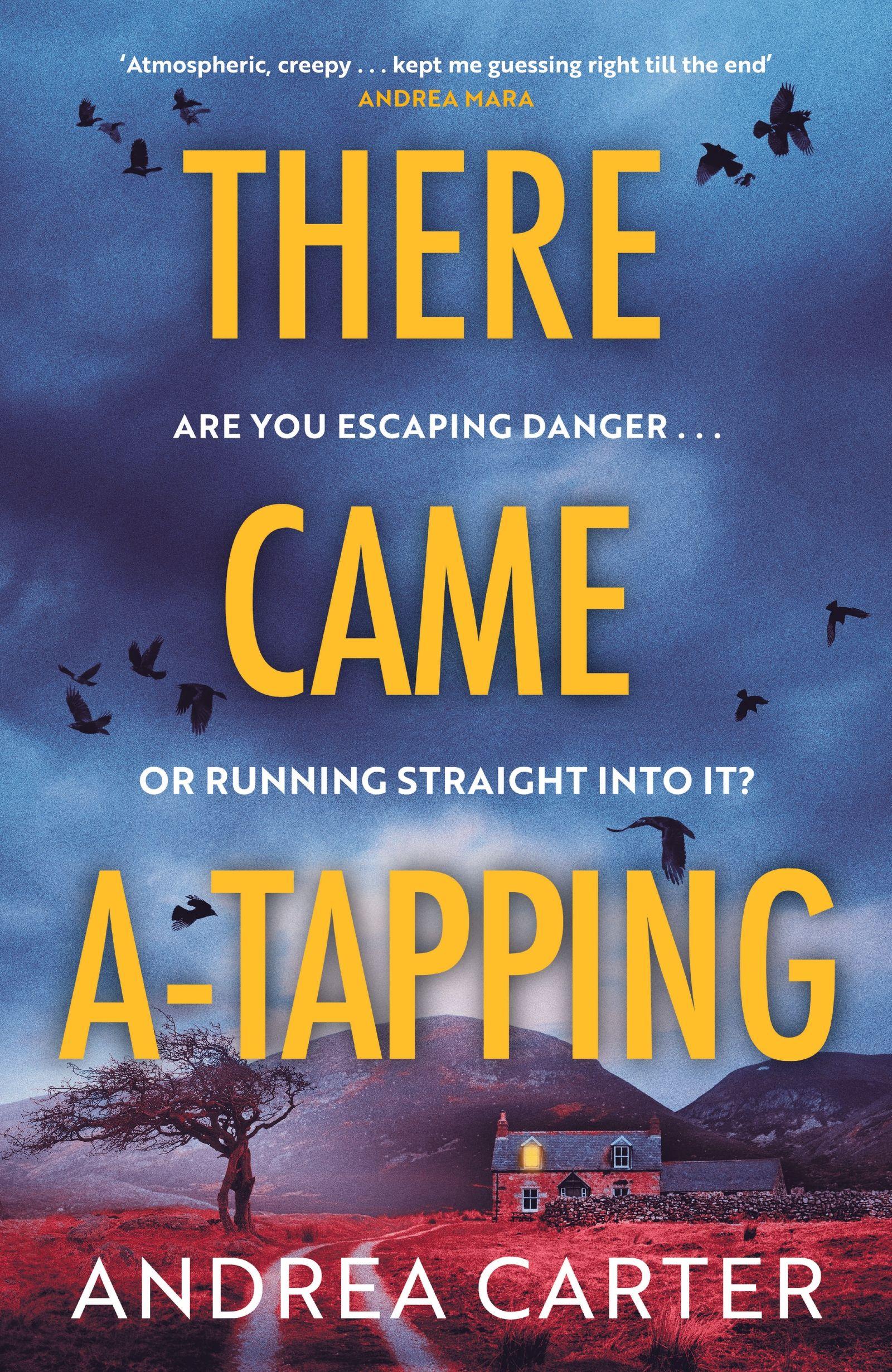 Vorderes Coverbild There Came A-Tapping