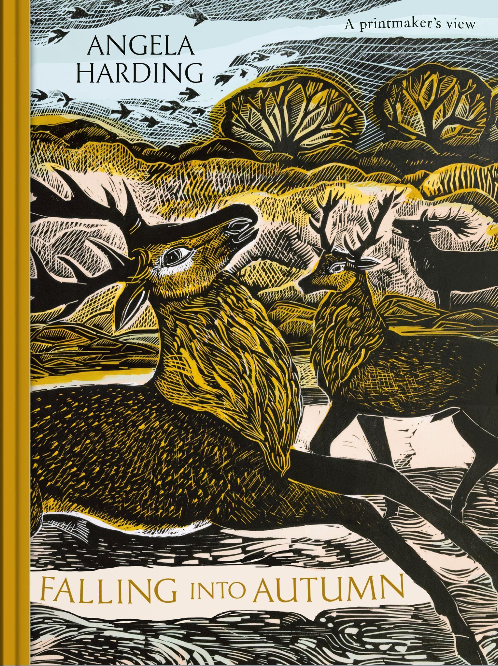 Vorderes Coverbild Falling in Autumn