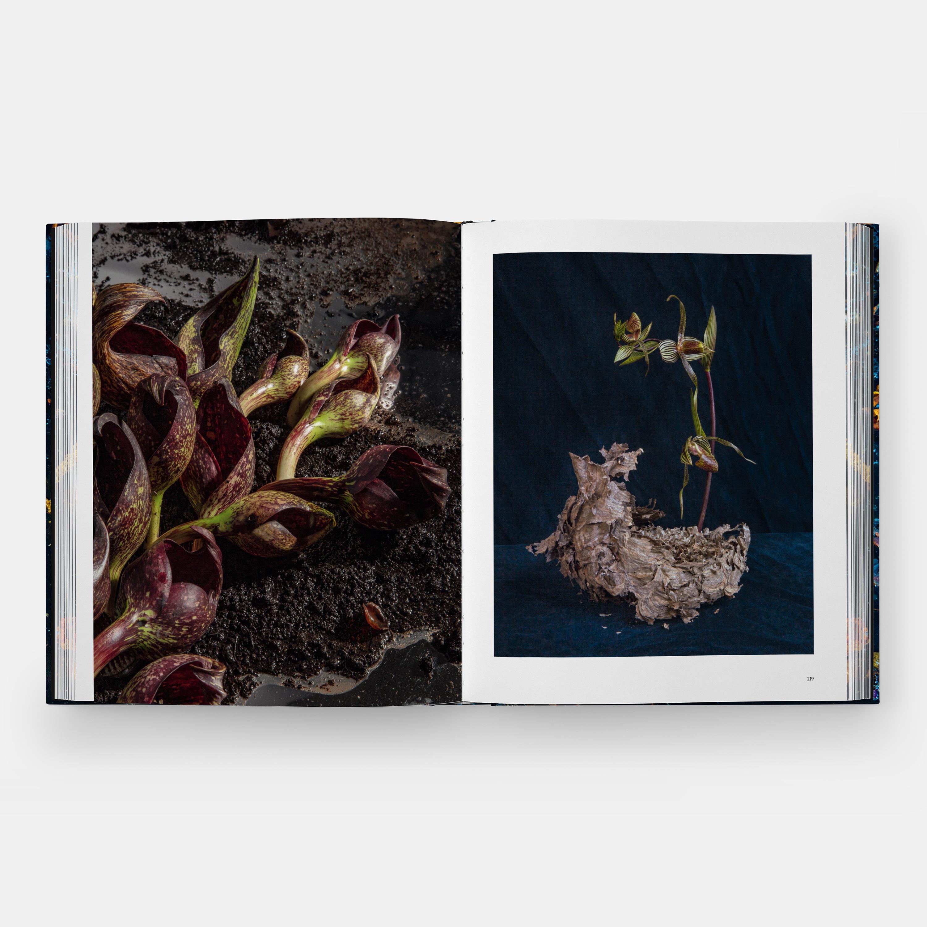 Beispielinhalt (Bild) Emily Thompson Flowers