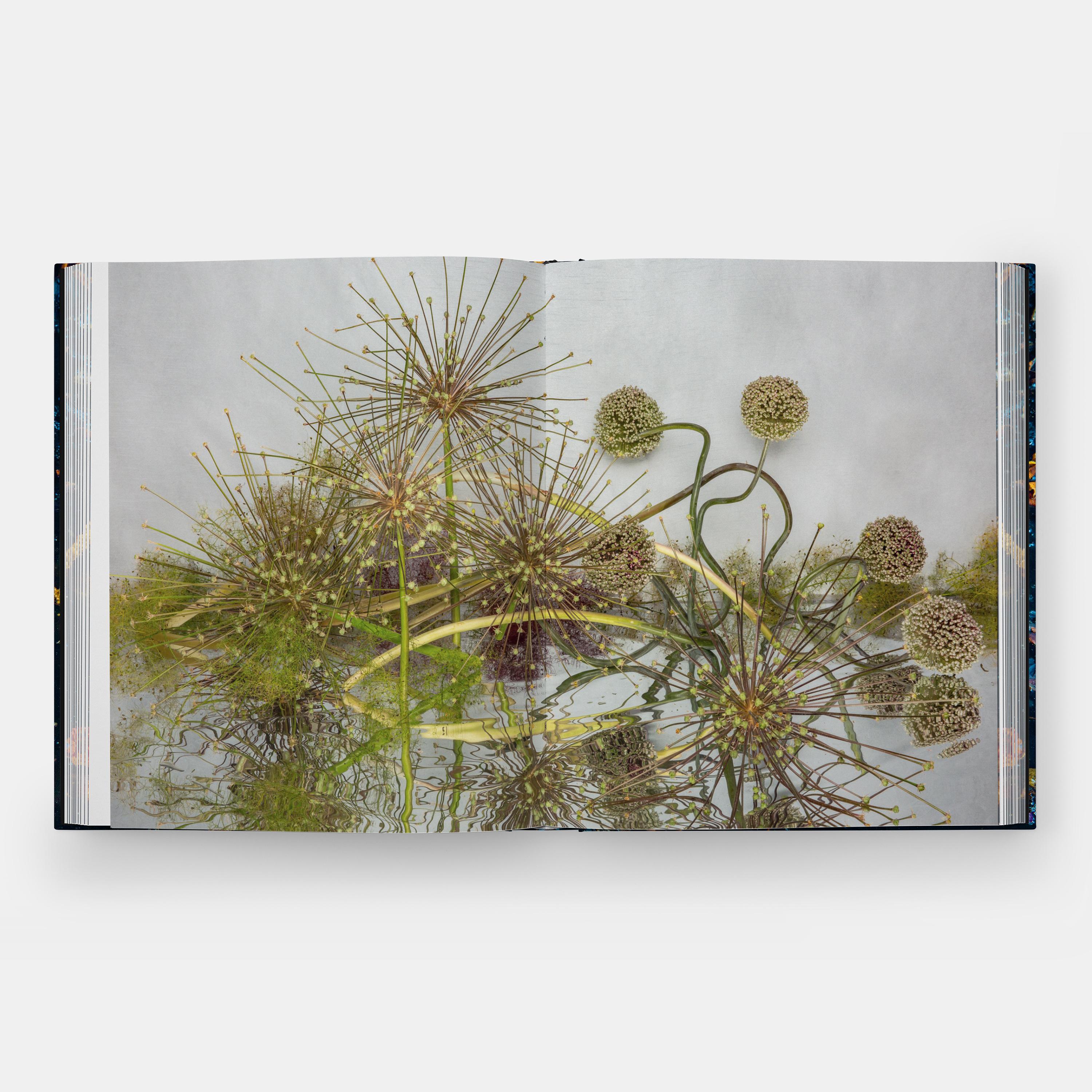 Beispielinhalt (Bild) Emily Thompson Flowers