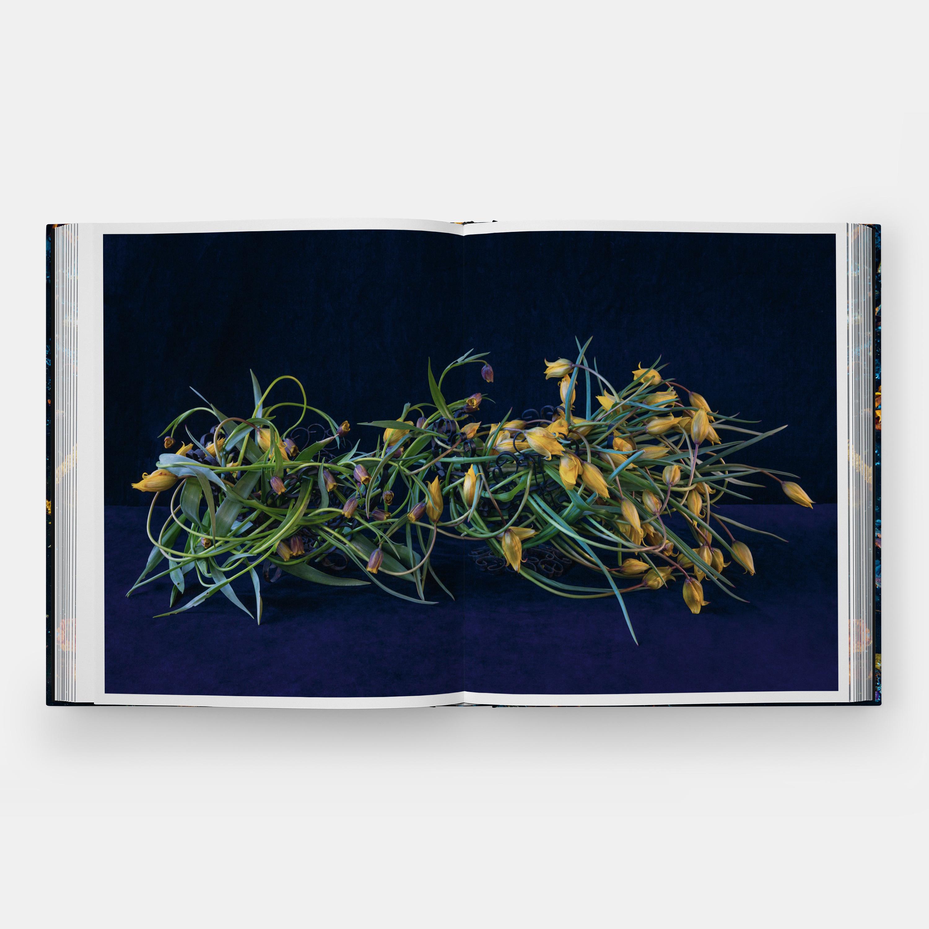 Beispielinhalt (Bild) Emily Thompson Flowers