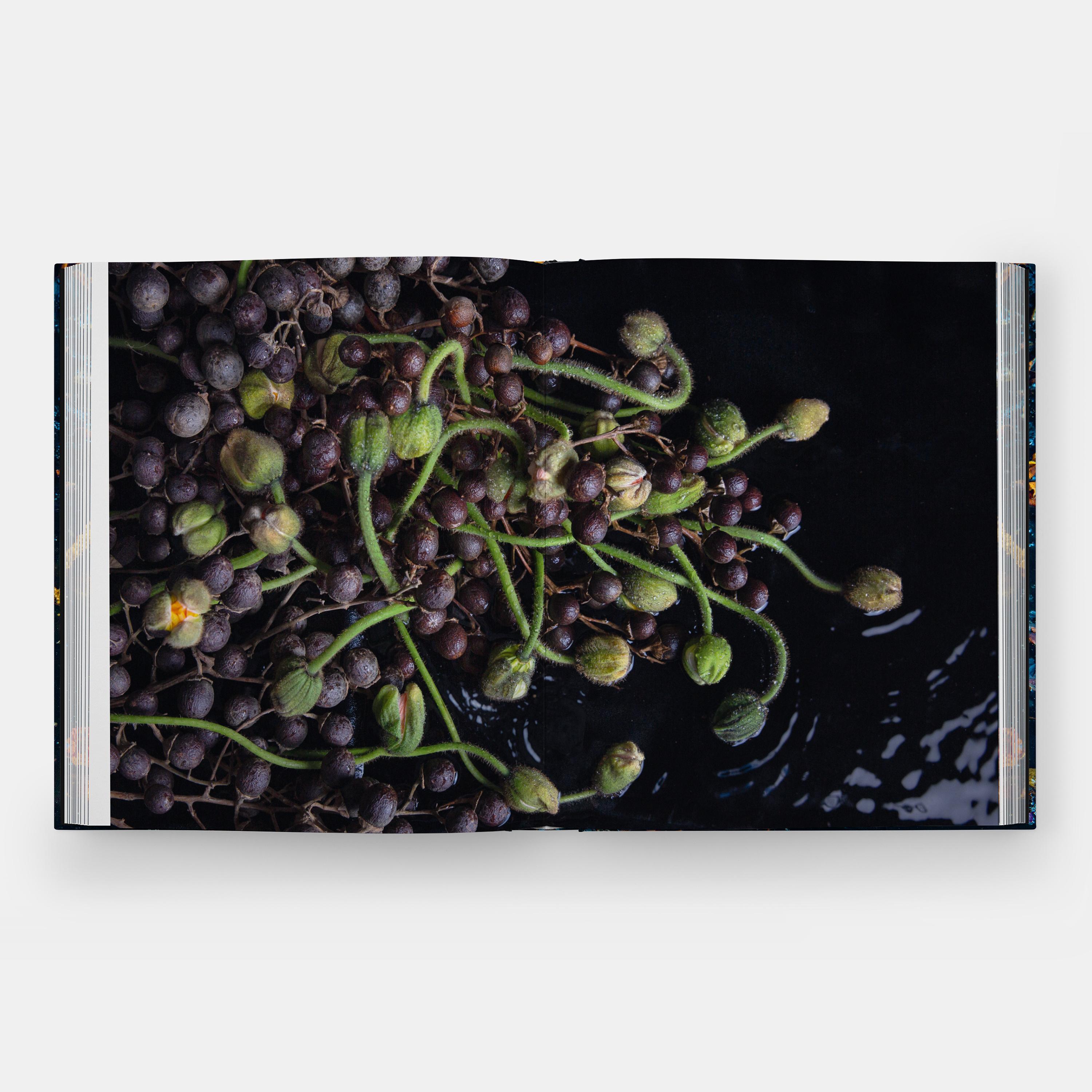 Beispielinhalt (Bild) Emily Thompson Flowers